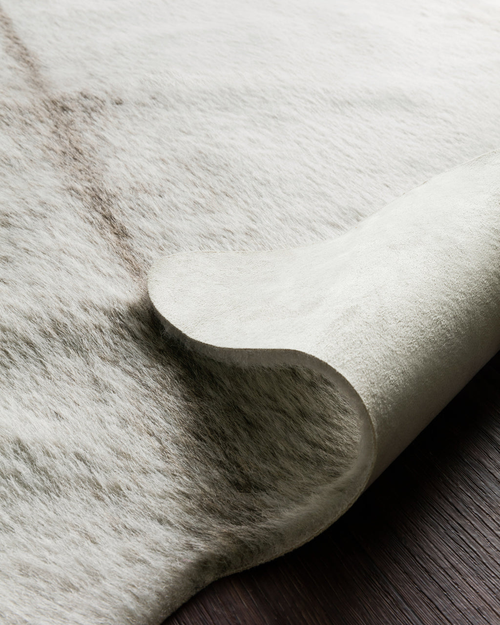 Loloi Grand Canyon Area Rug