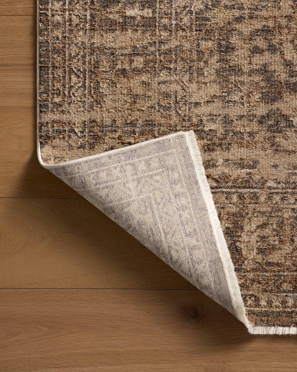 Loloi Haywood Area Rug