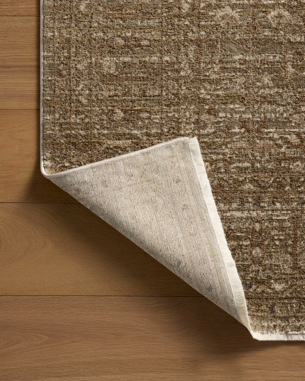 Loloi Haywood Area Rug