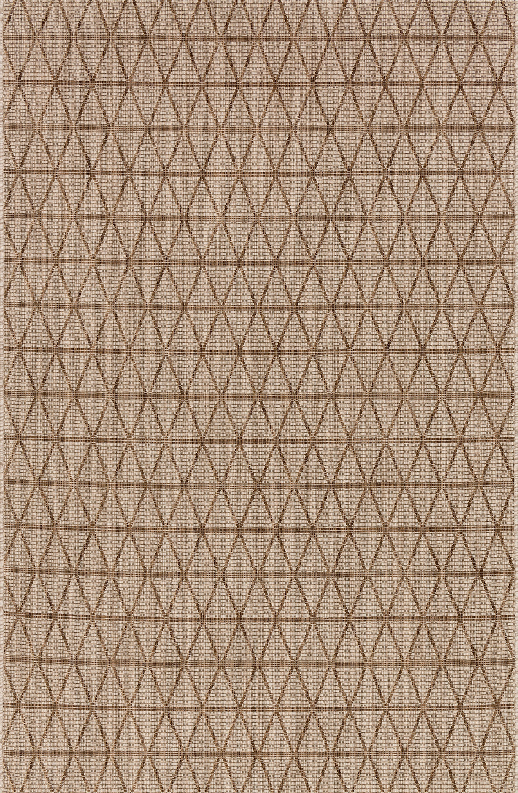 Loloi Isle Area Rug