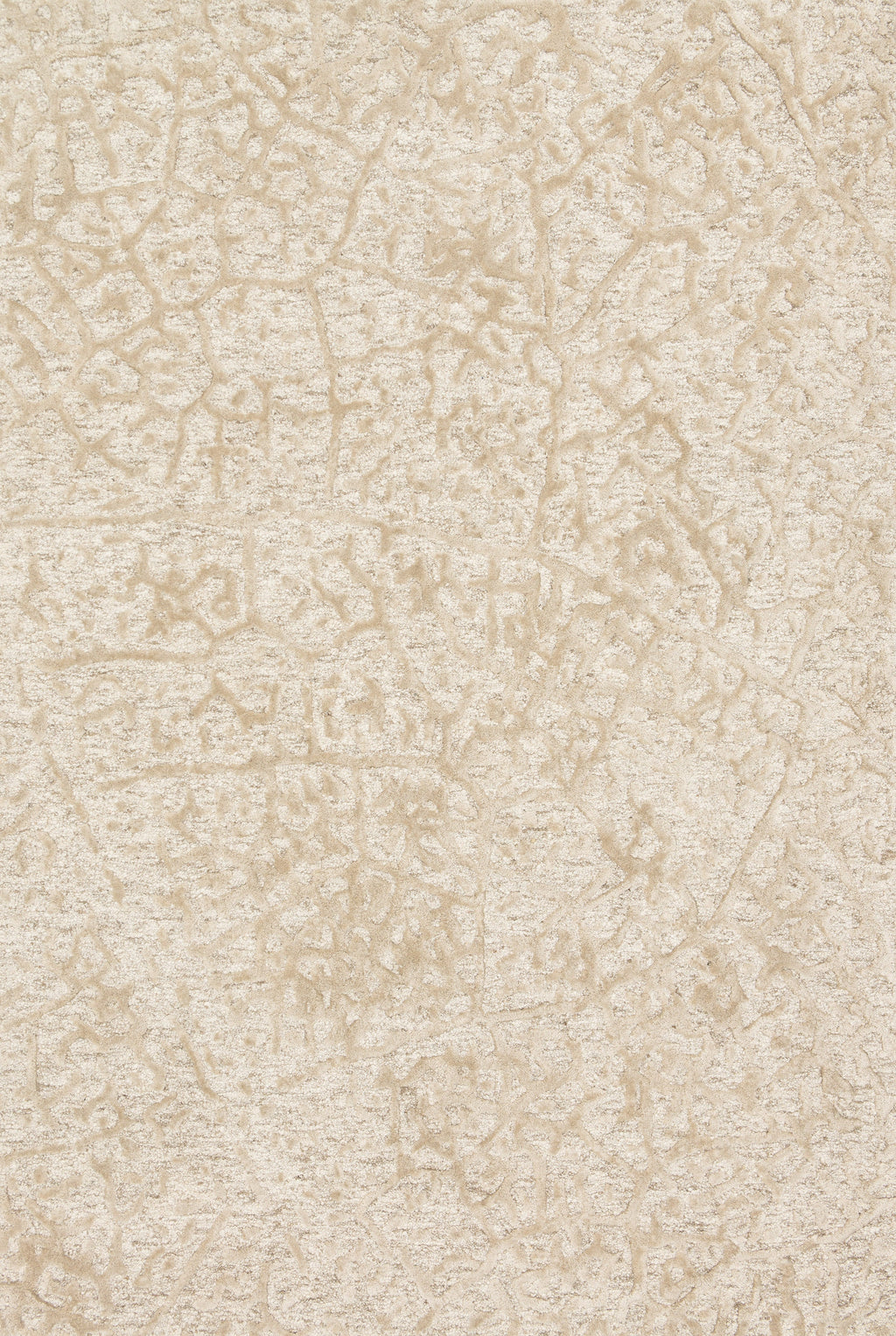 Loloi Juneau Area Rug