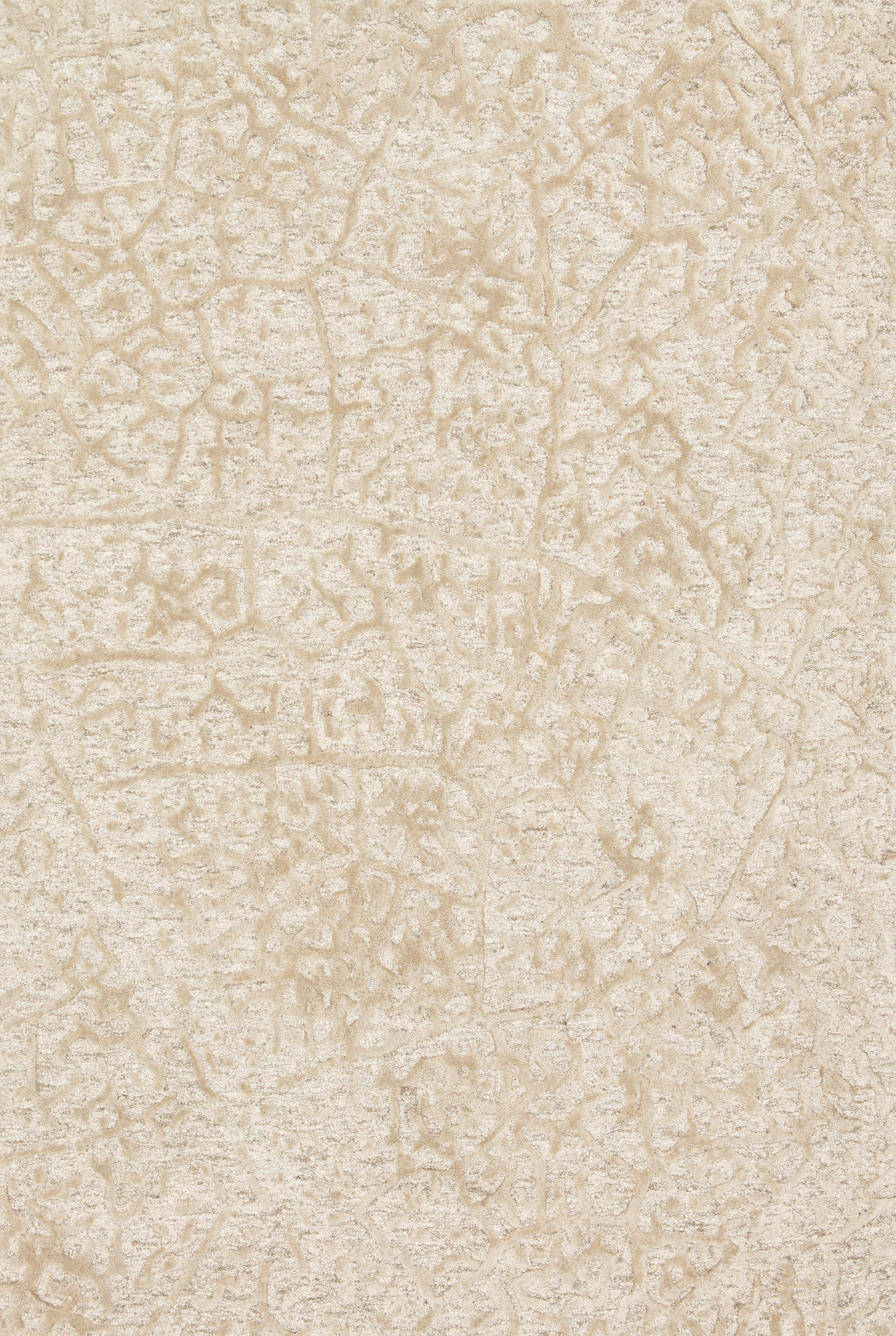 Loloi Juneau Area Rug