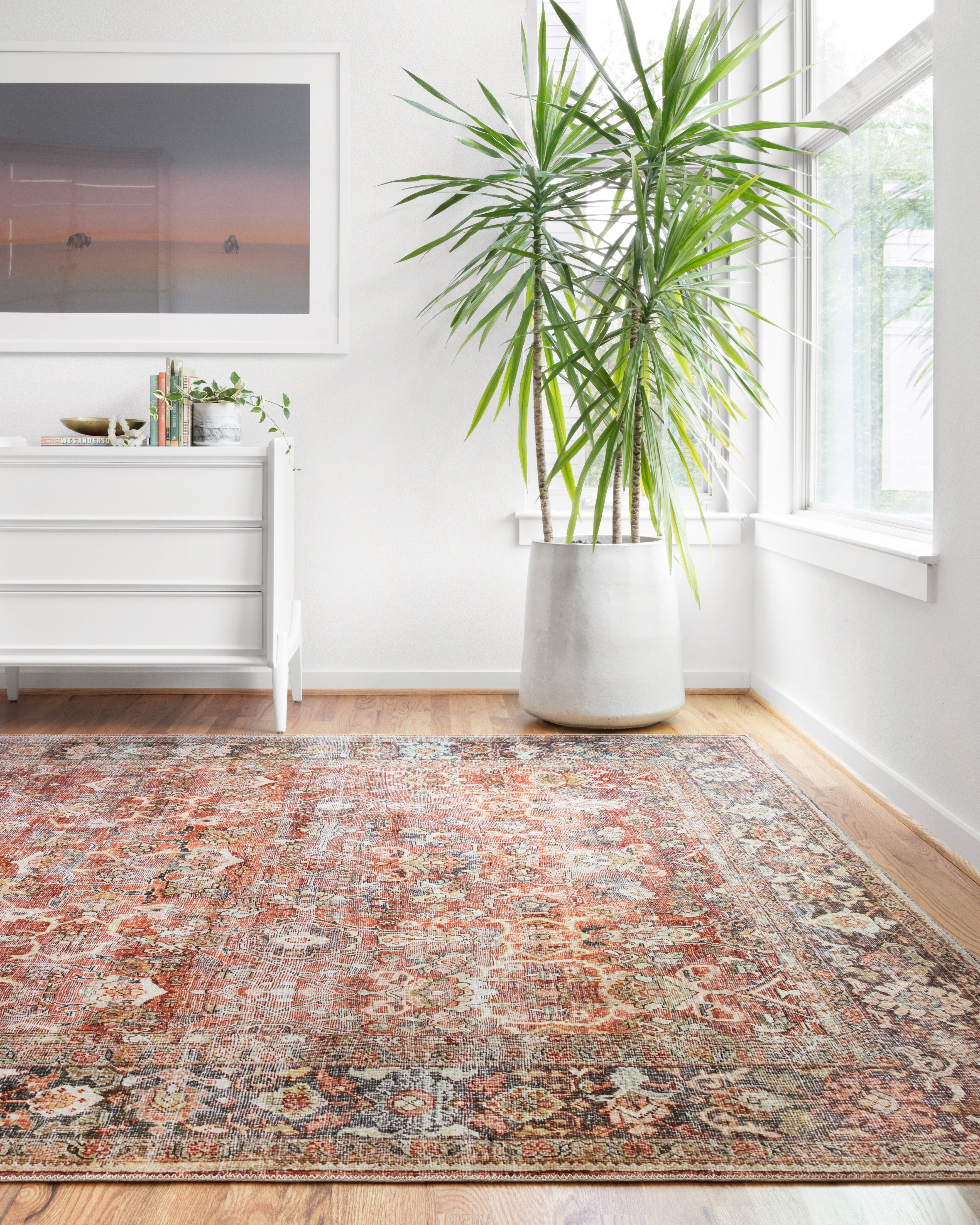 Loloi Layla Sample Rug