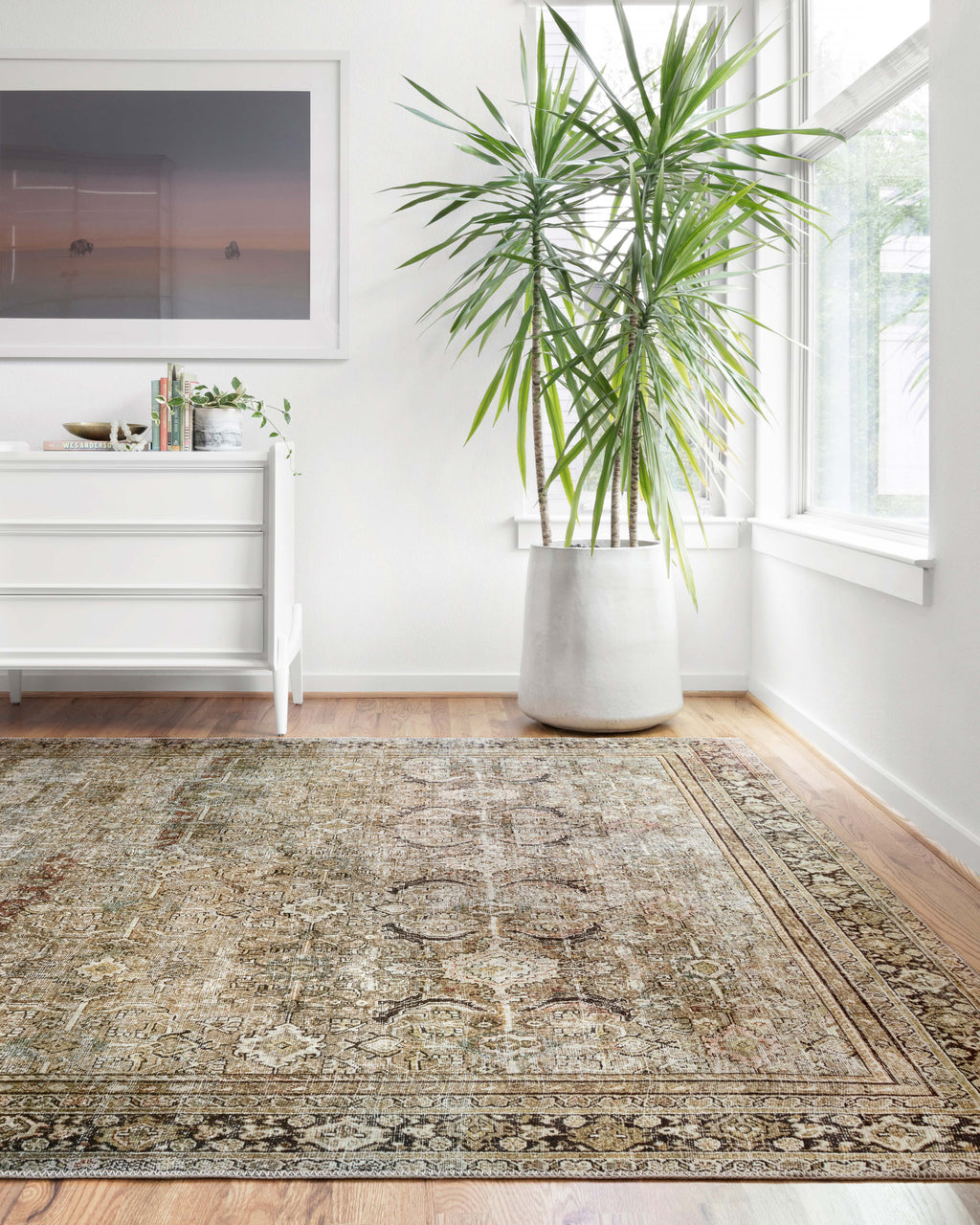Loloi Layla Sample Rug