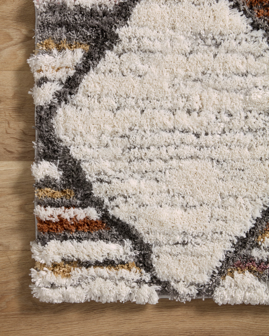Loloi Levitt Shag Sample Rug