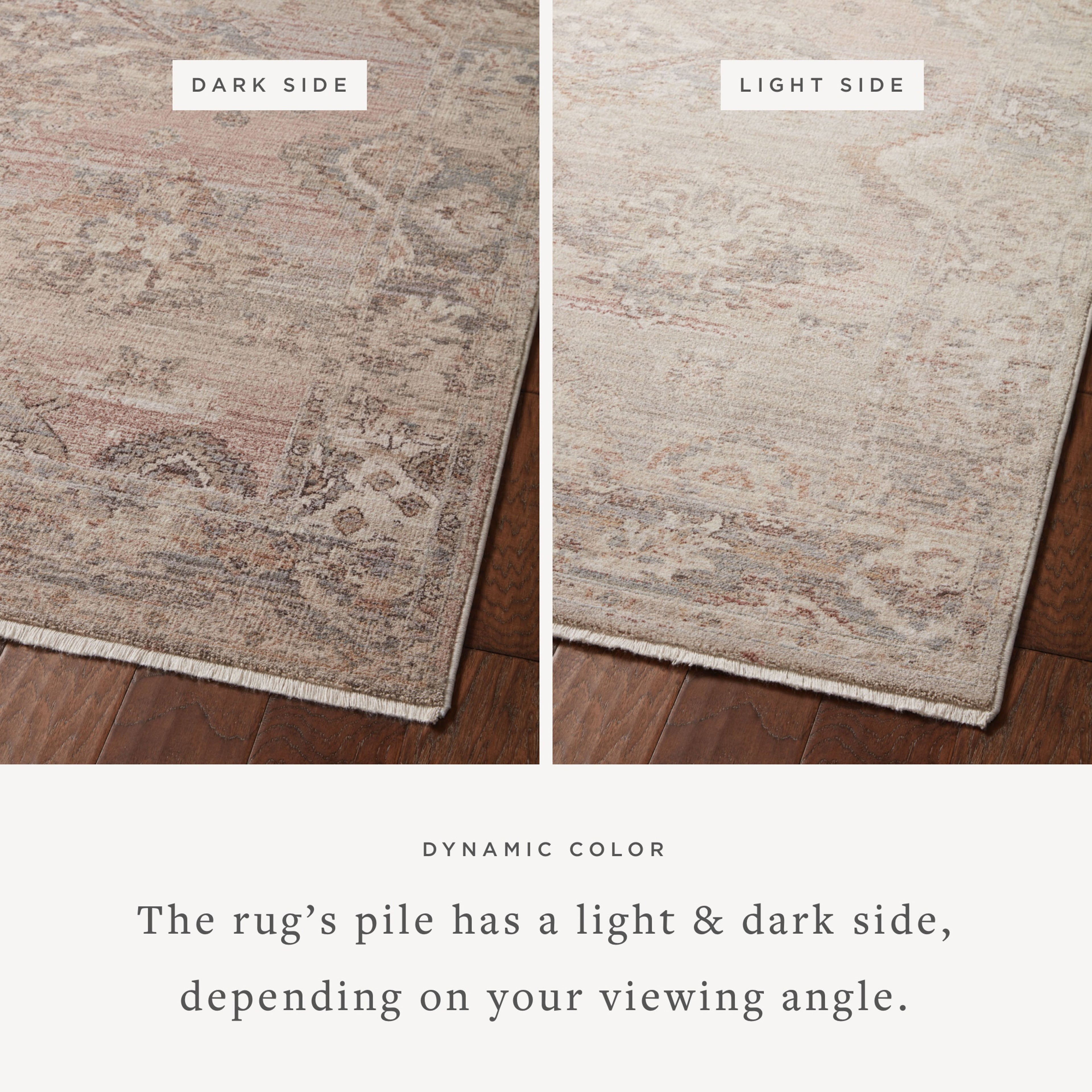 Loloi Lyra Sample Rug