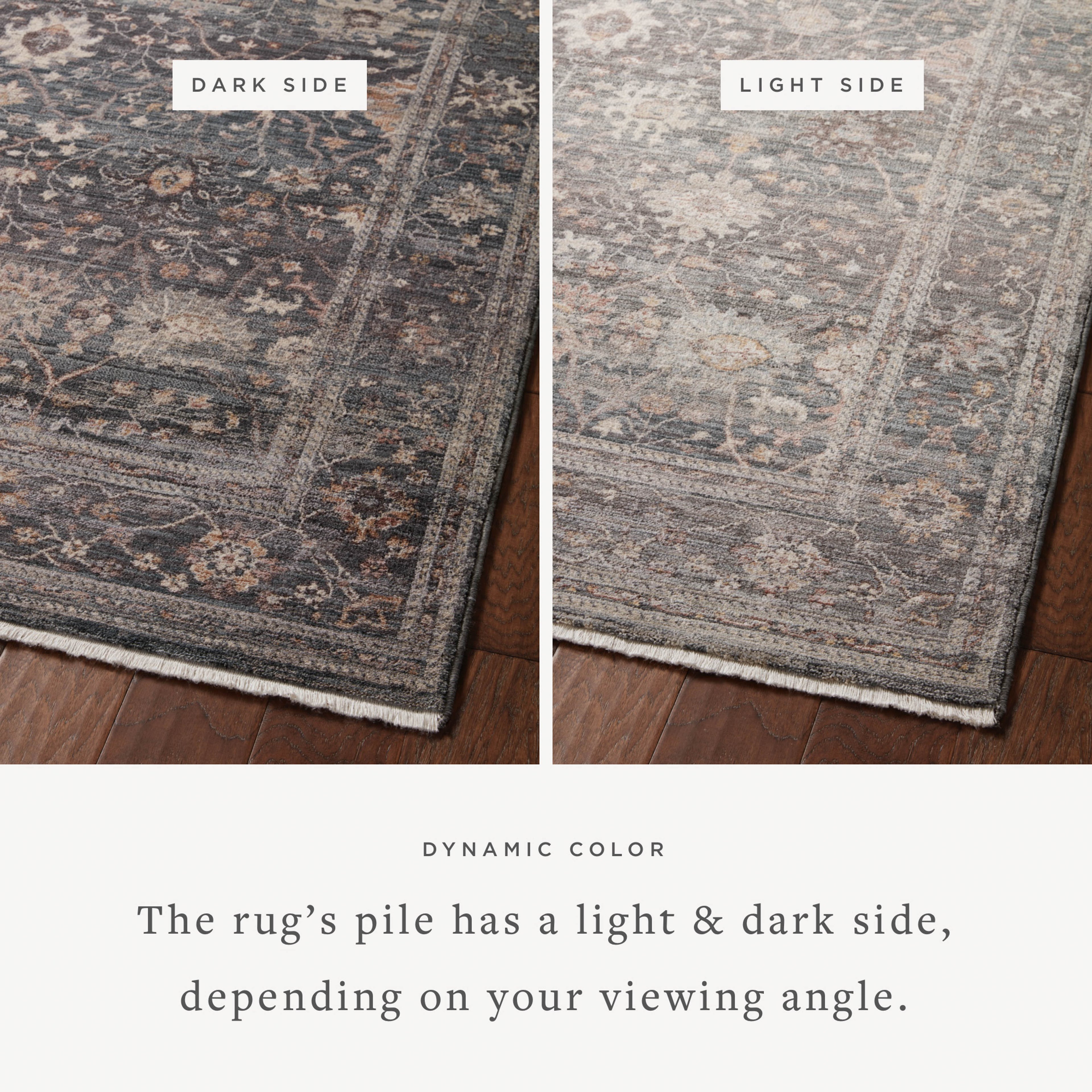 Loloi Lyra Area Rug