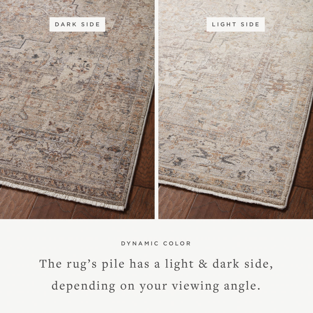 Loloi Lyra Sample Rug