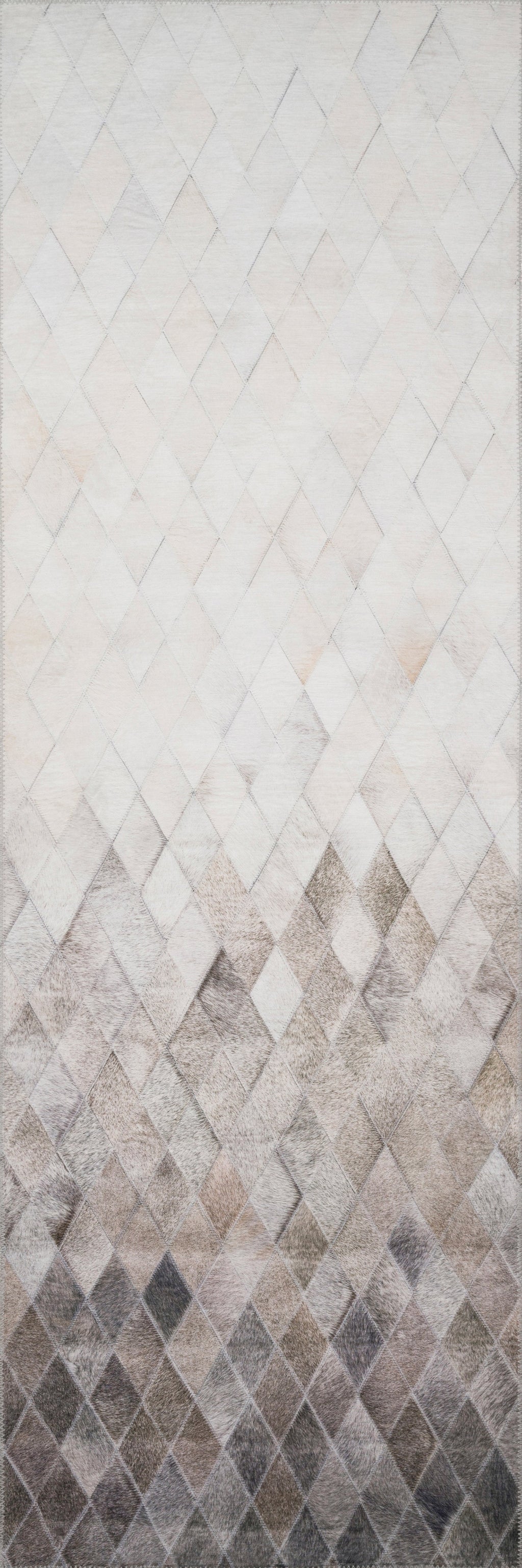 Loloi Maddox Accent Rug