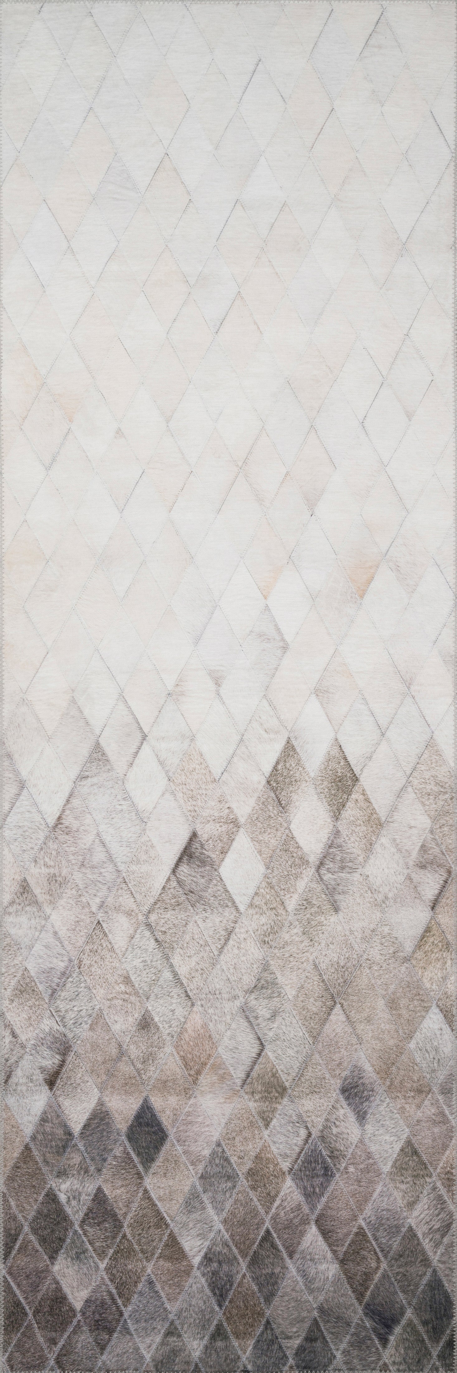 Loloi Maddox Area Rug