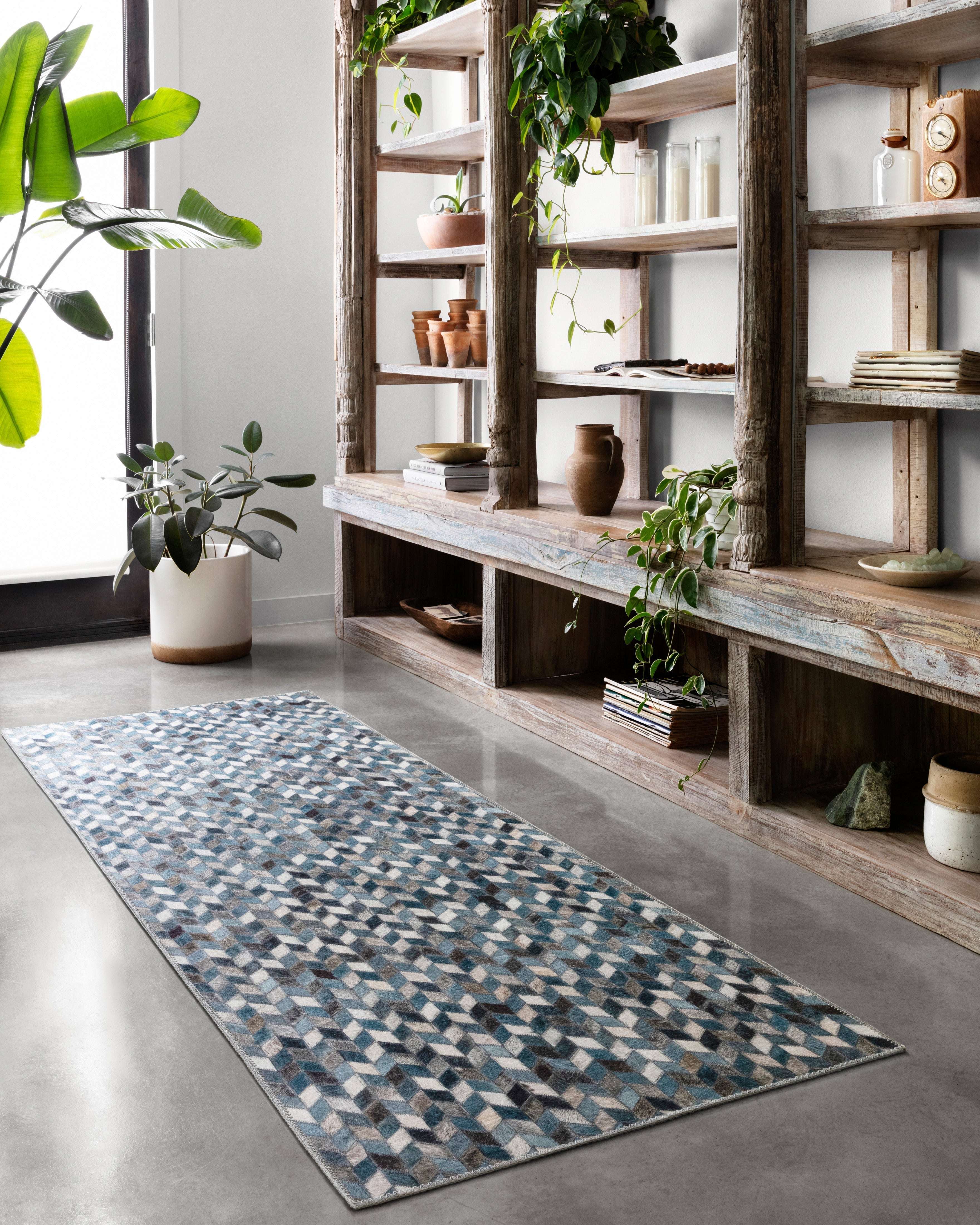 Loloi Maddox Area Rug