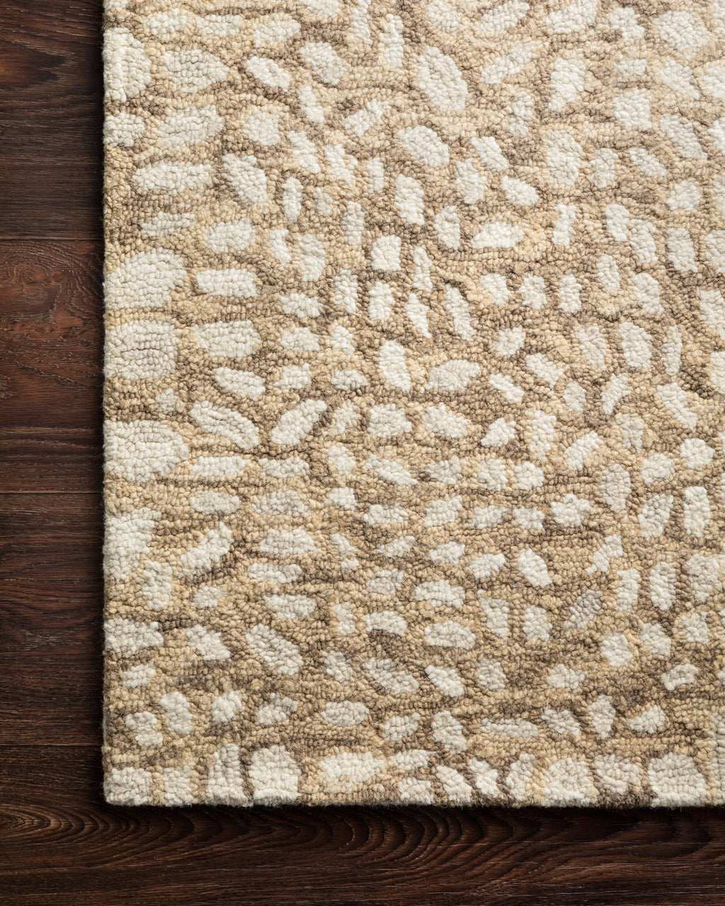 Loloi Masai Area Rug