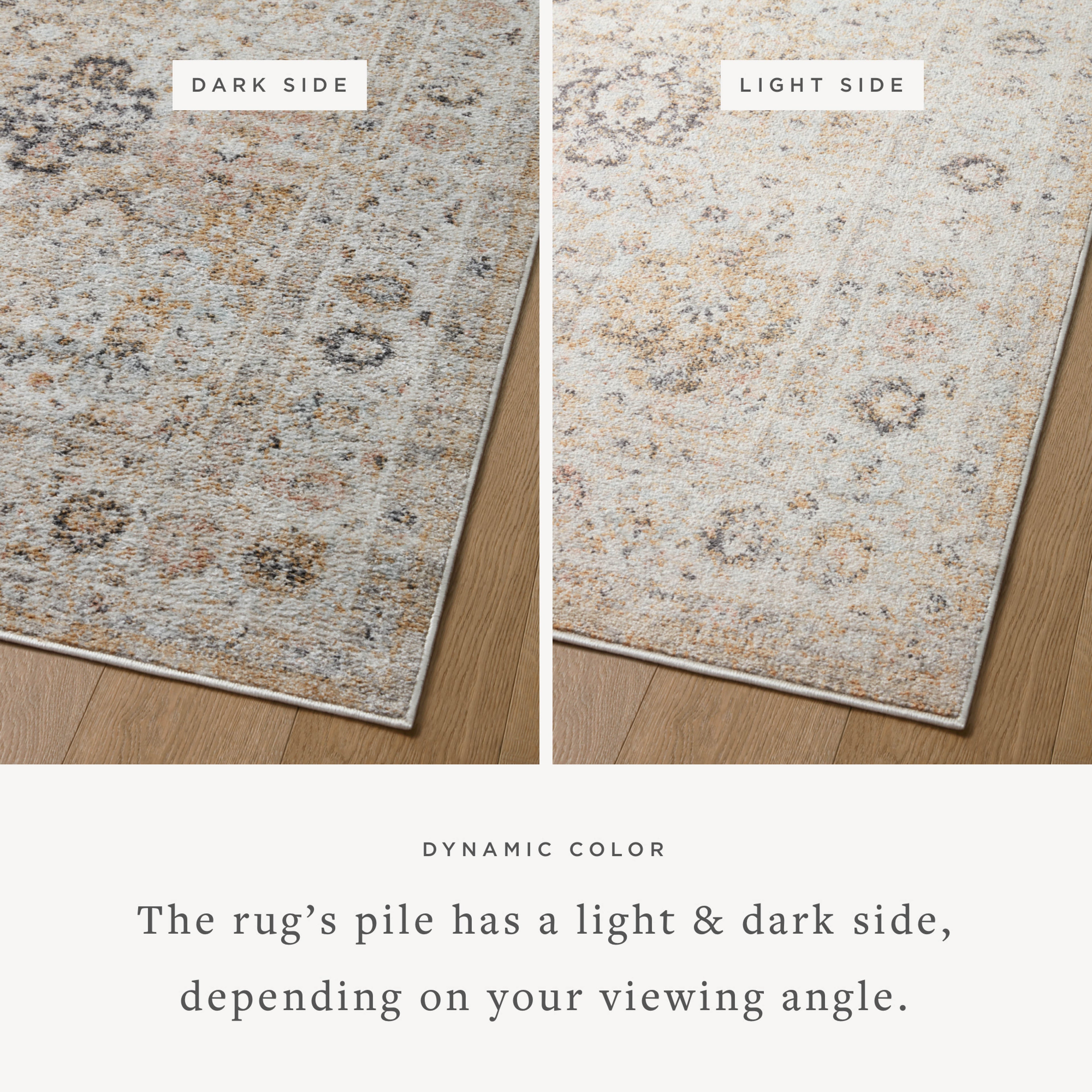 Loloi Monroe Sample Rug