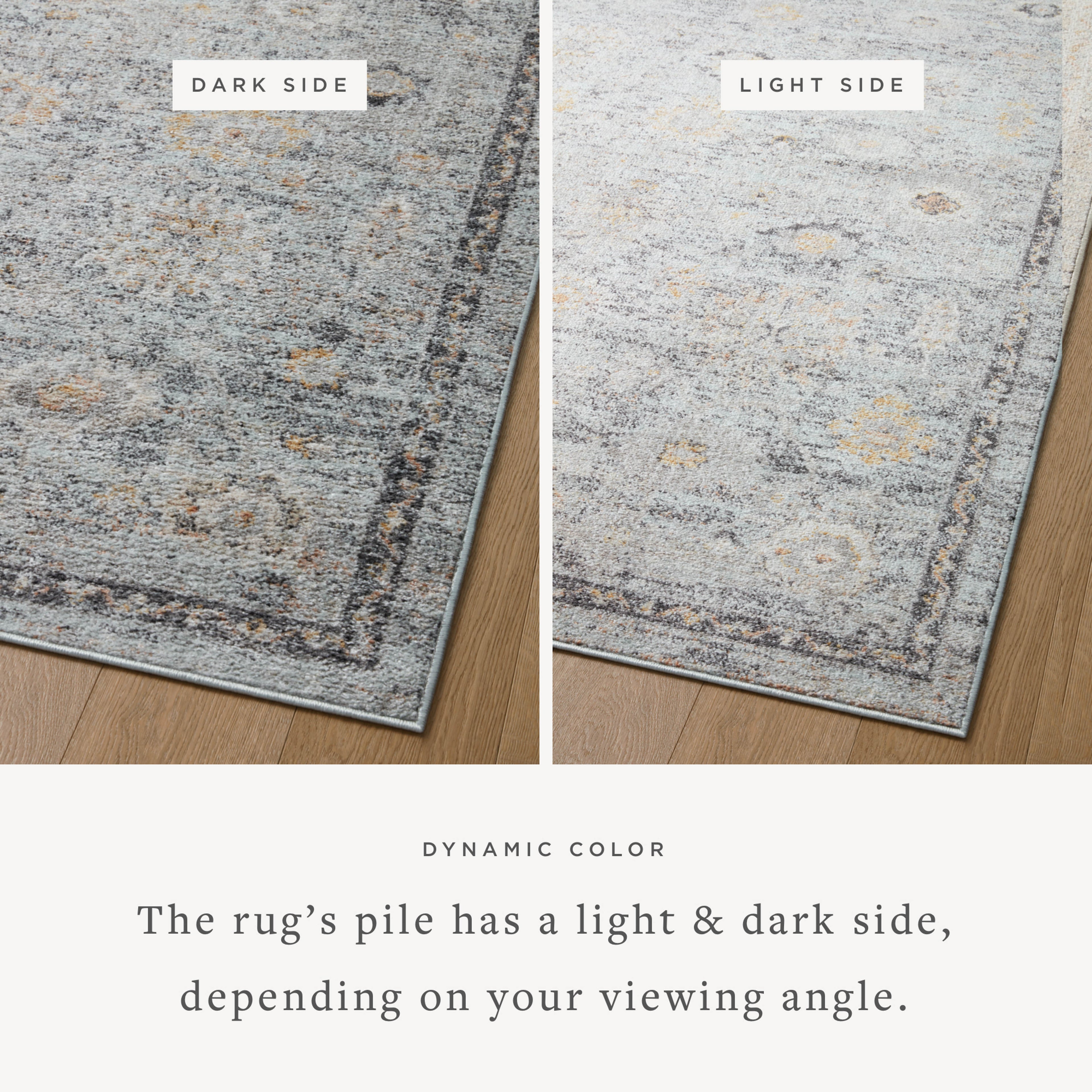 Loloi Monroe Area Rug