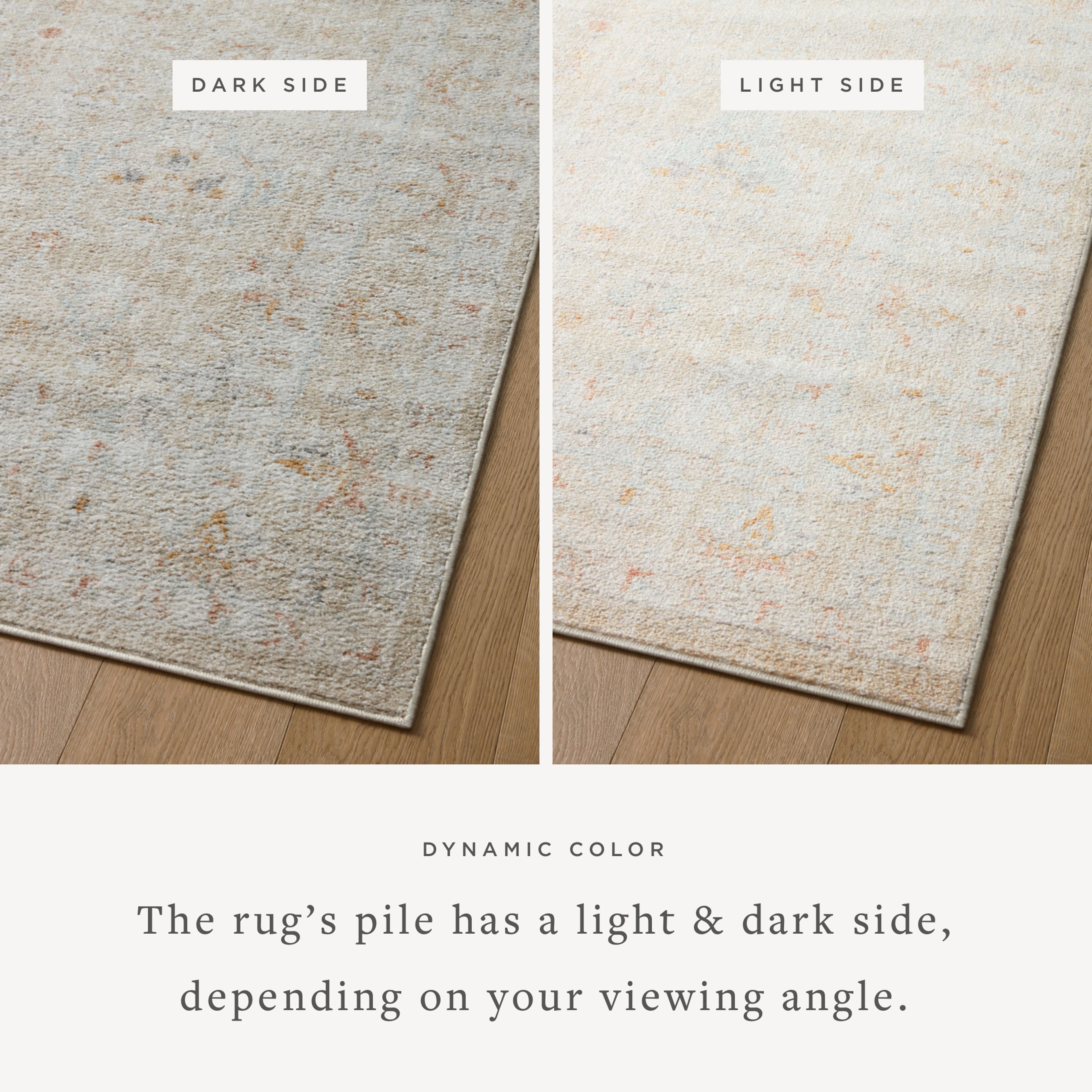 Loloi Monroe Area Rug