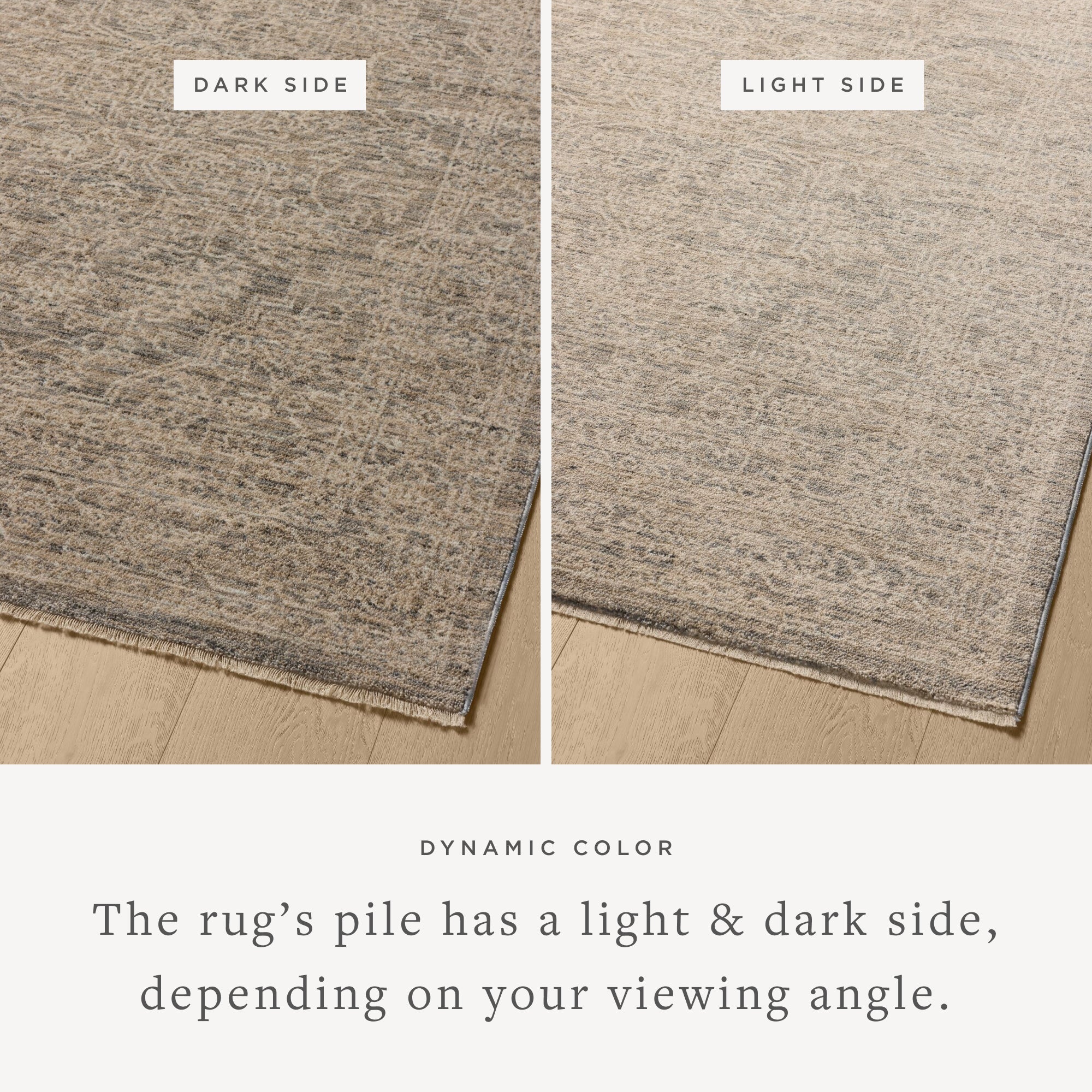 Loloi Newman Sample Rug