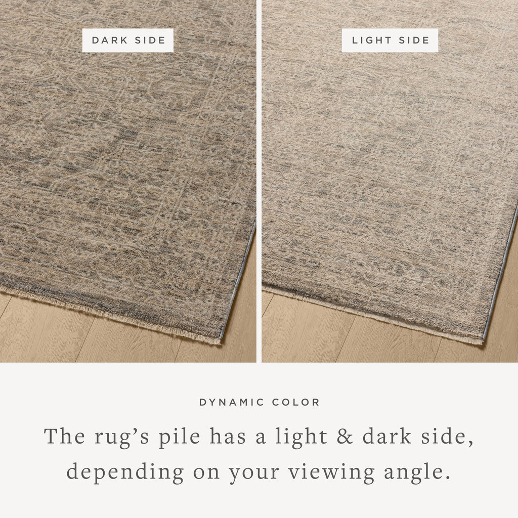 Loloi Newman Area Rug