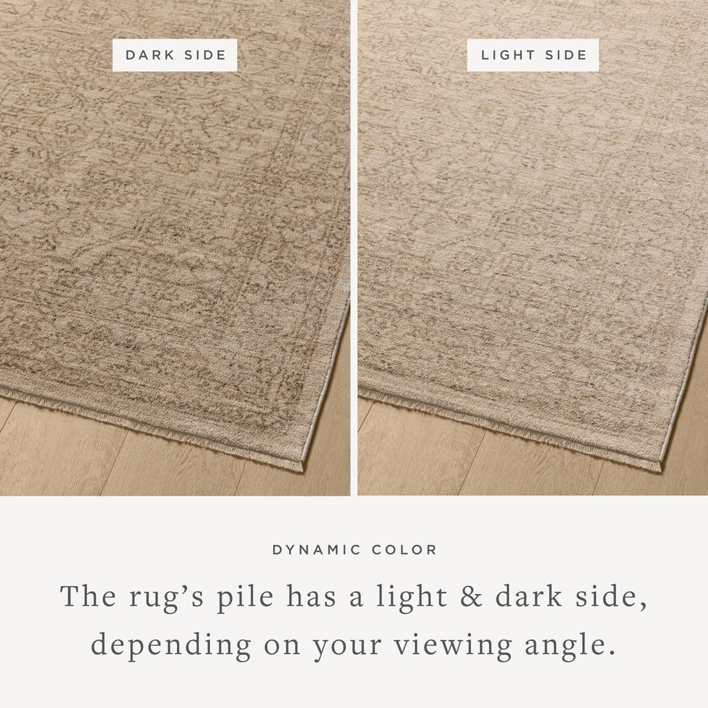 Loloi Newman Runner Rug