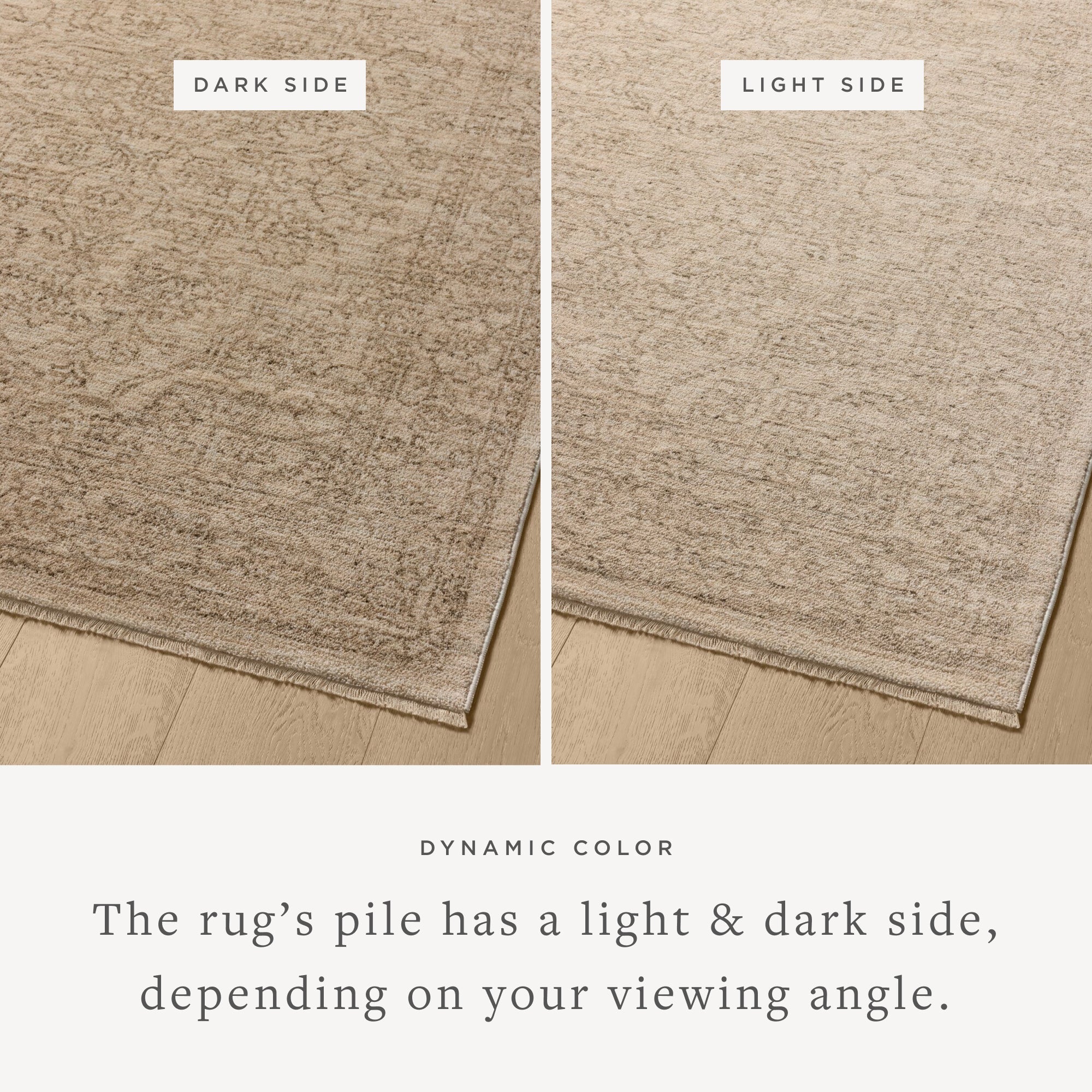Loloi Newman Area Rug