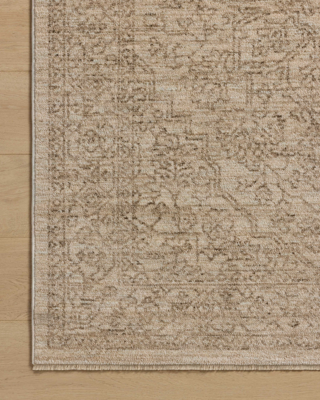 Loloi Newman Sample Rug
