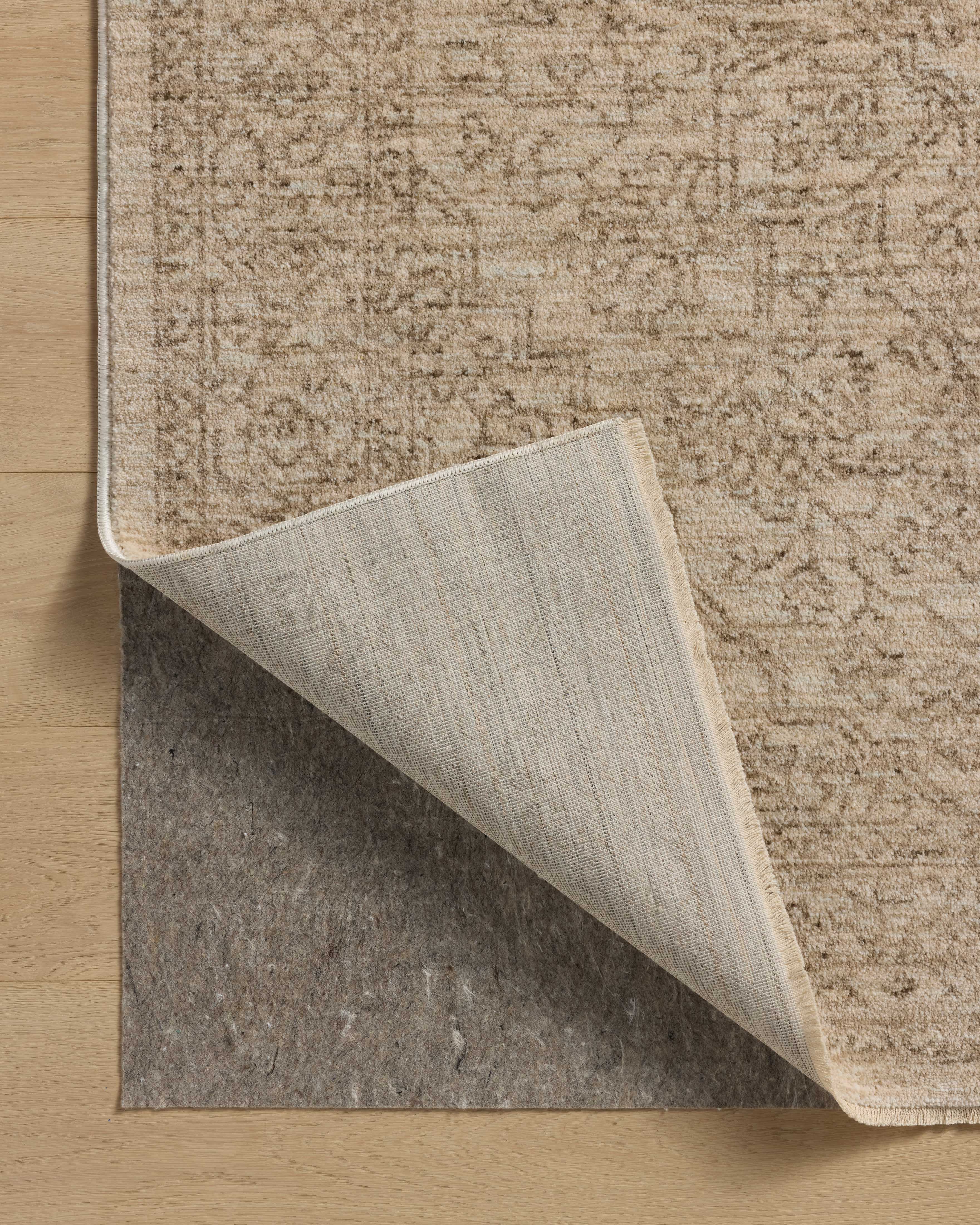 Loloi Newman Area Rug
