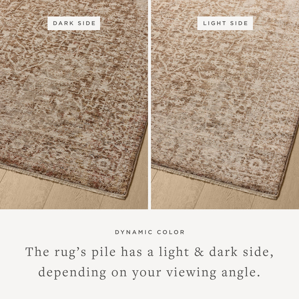 Loloi Newman Runner Rug