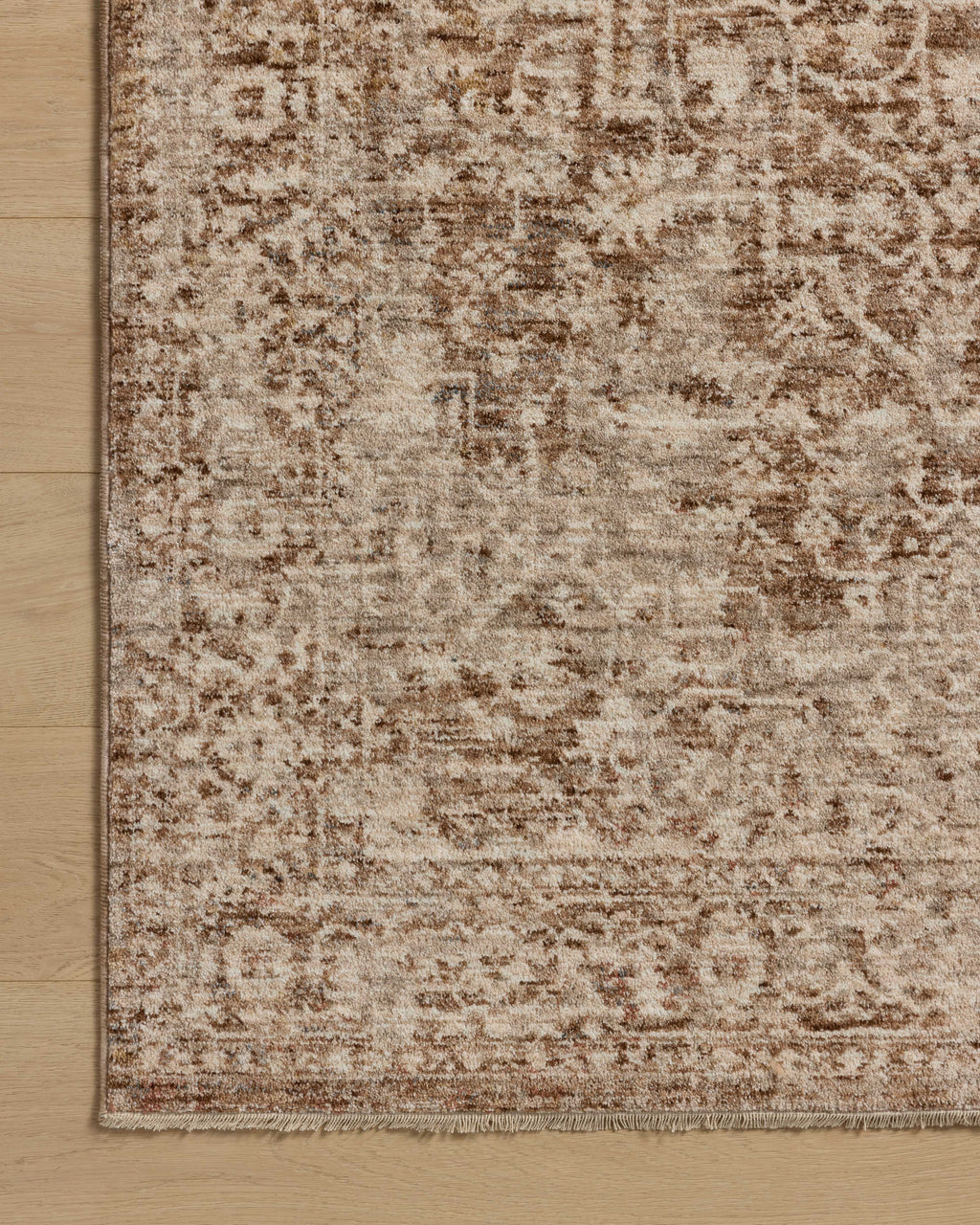 Loloi Newman Sample Rug