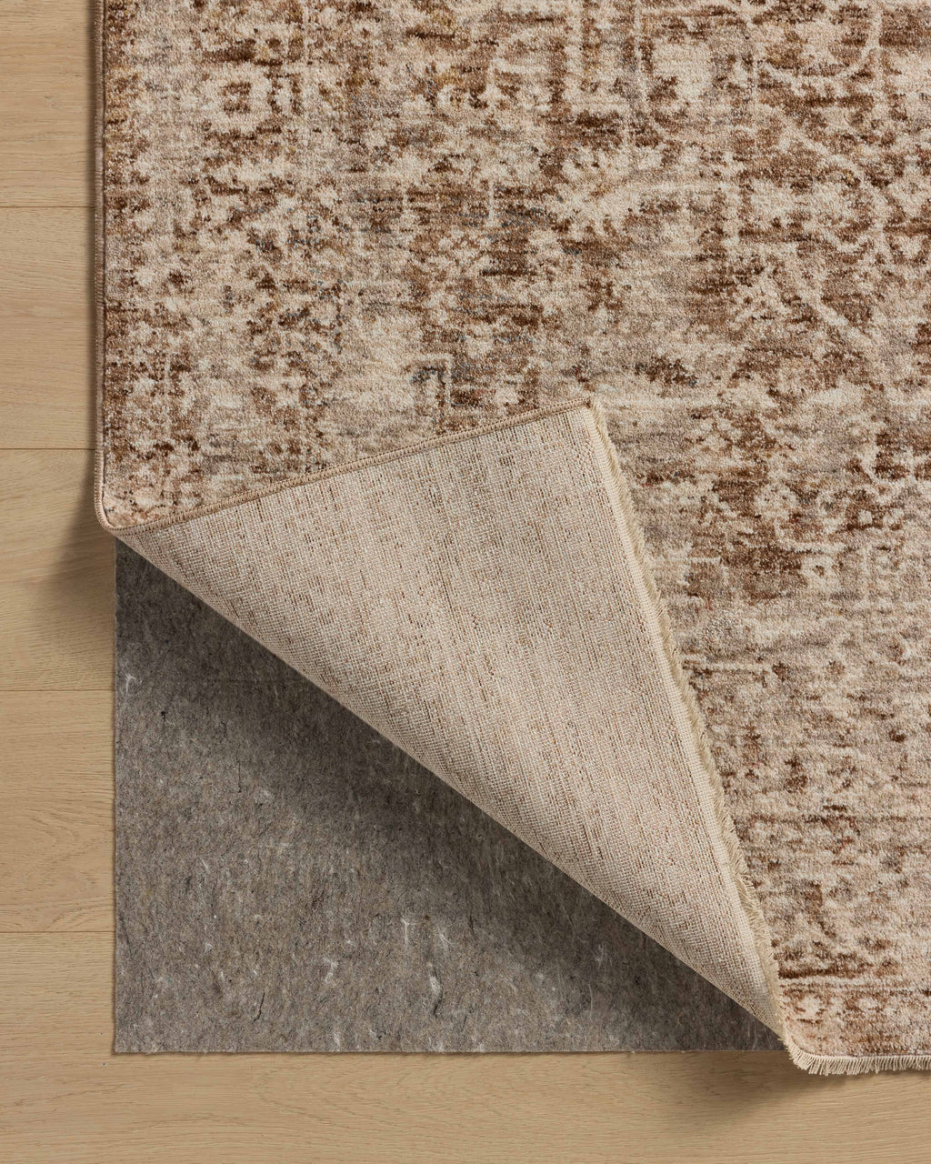 Loloi Newman Sample Rug