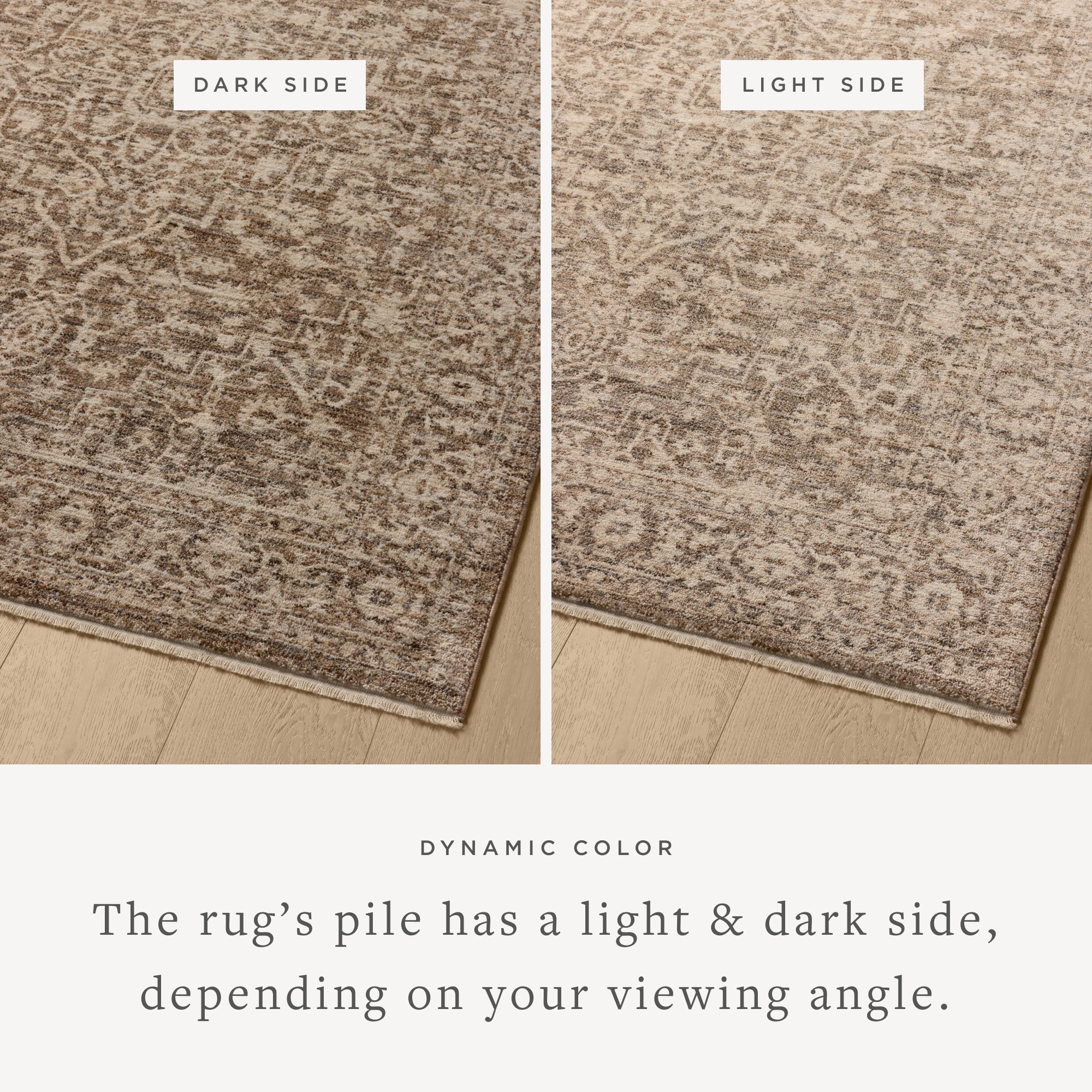 Loloi Newman Runner Rug