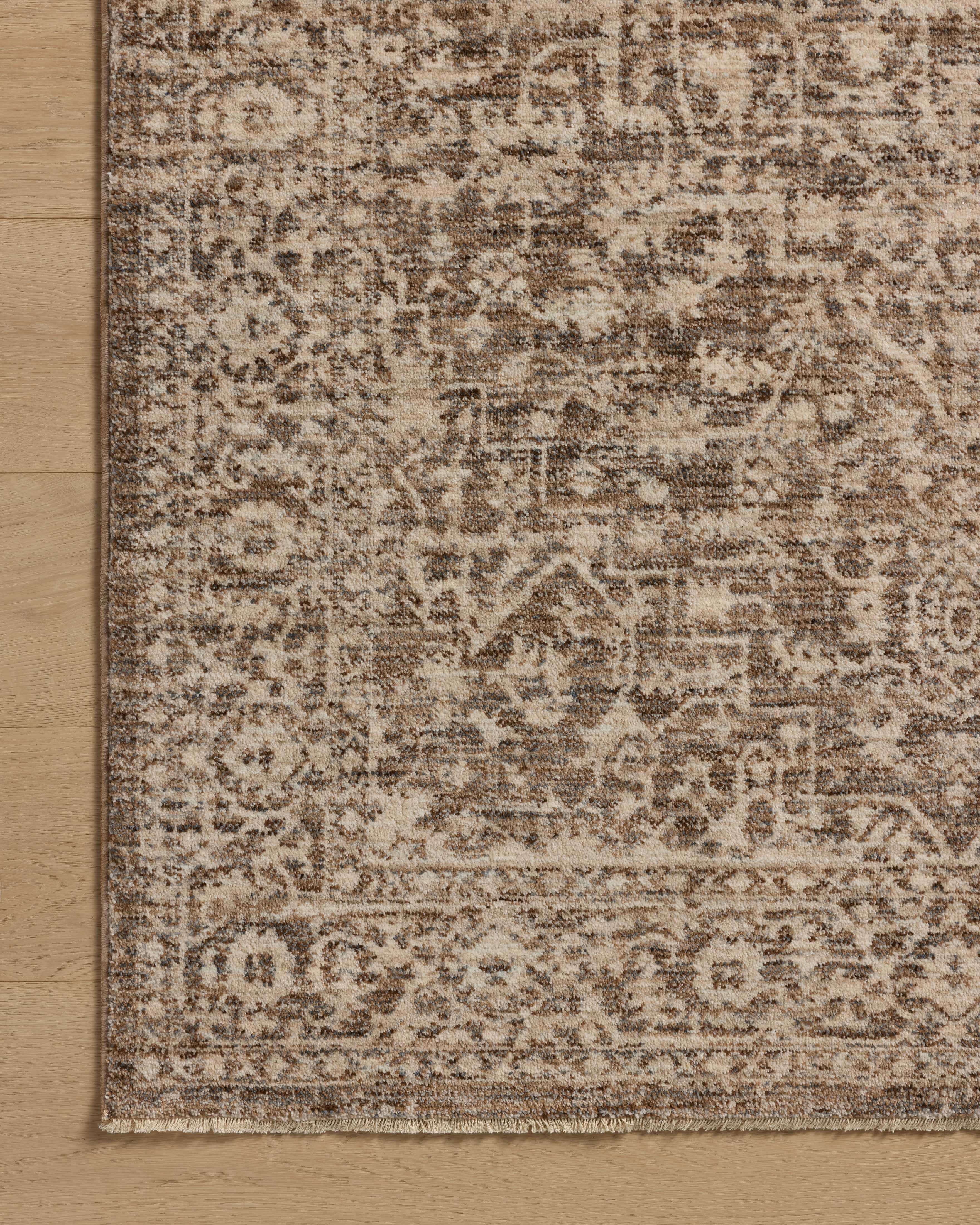 Loloi Newman Area Rug