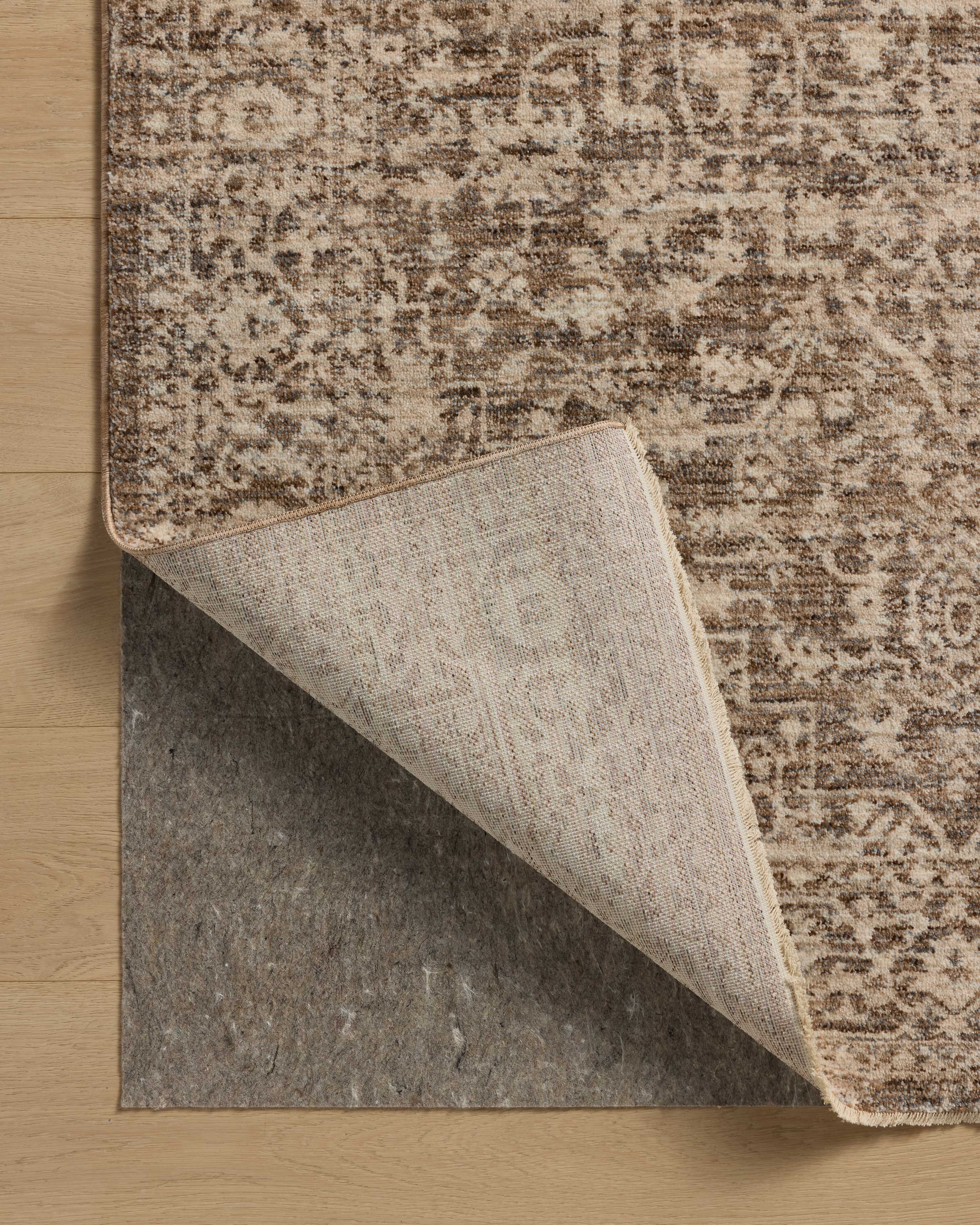 Loloi Newman Area Rug
