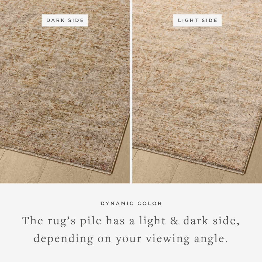 Loloi Newman Runner Rug