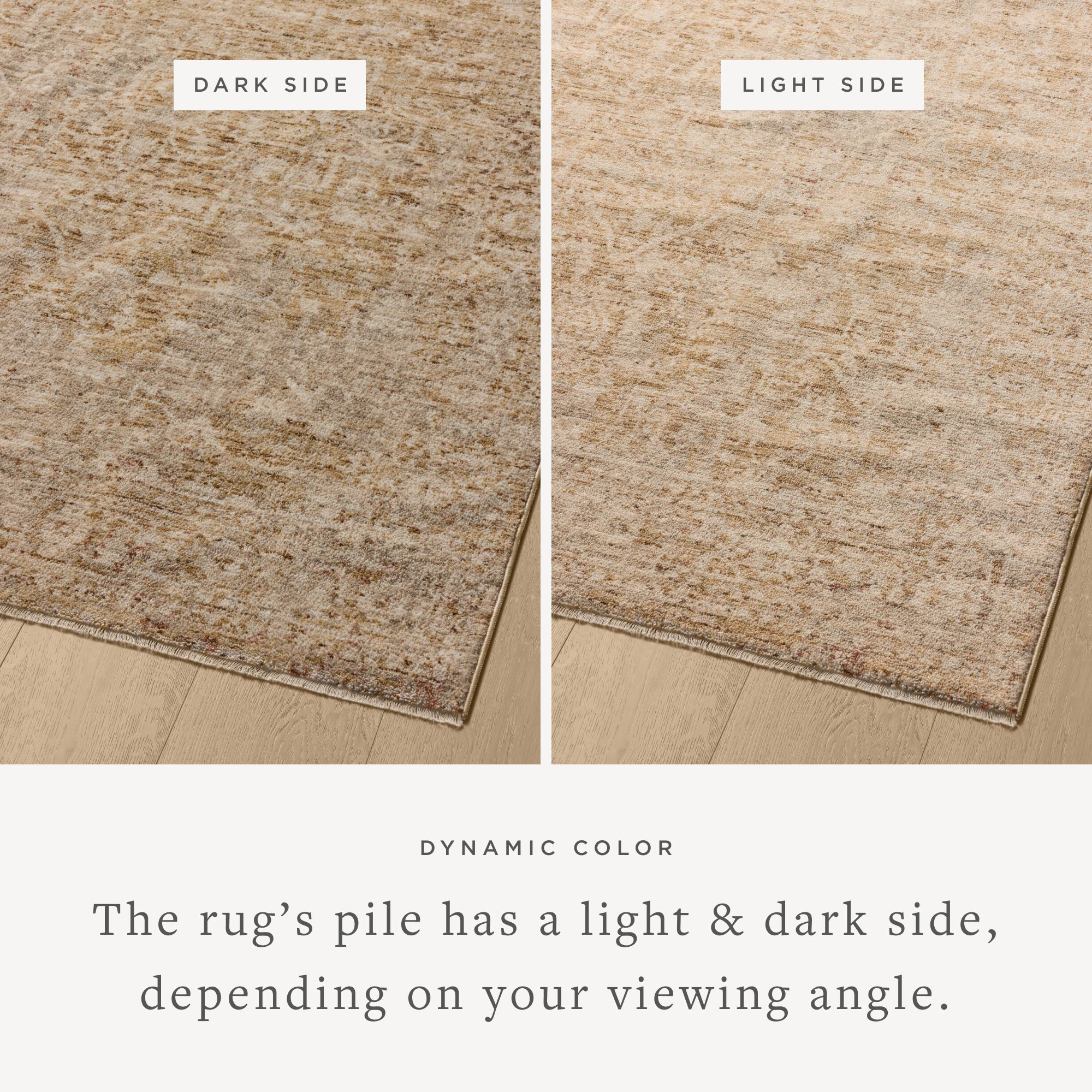Loloi Newman Runner Rug