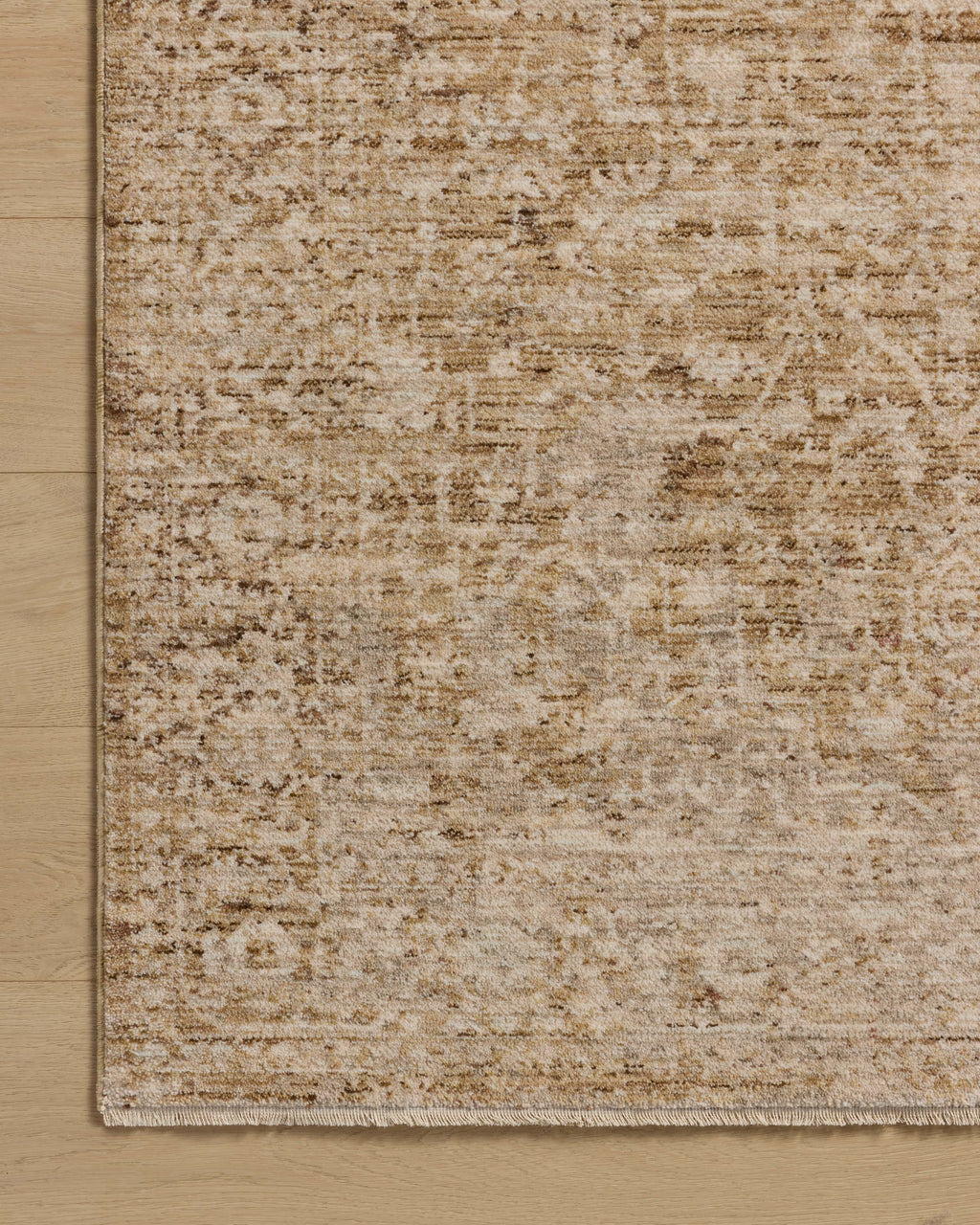 Loloi Newman Area Rug
