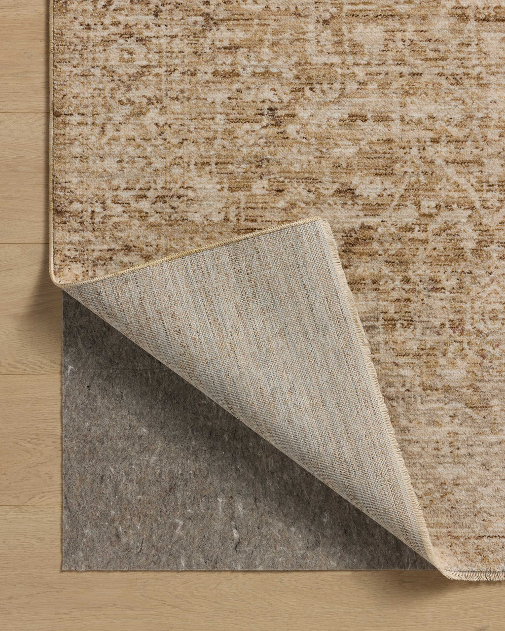 Loloi Newman Runner Rug