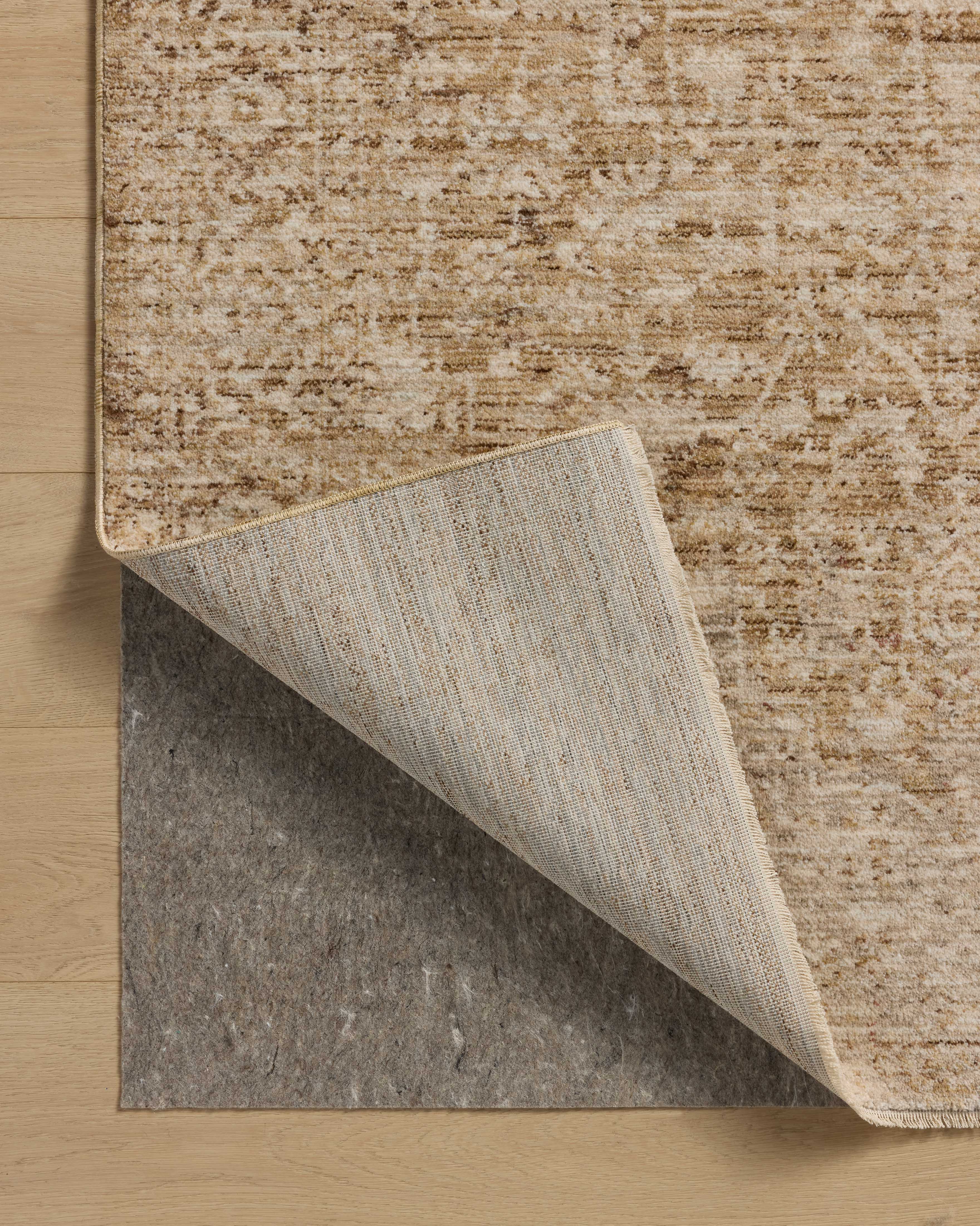 Loloi Newman Runner Rug