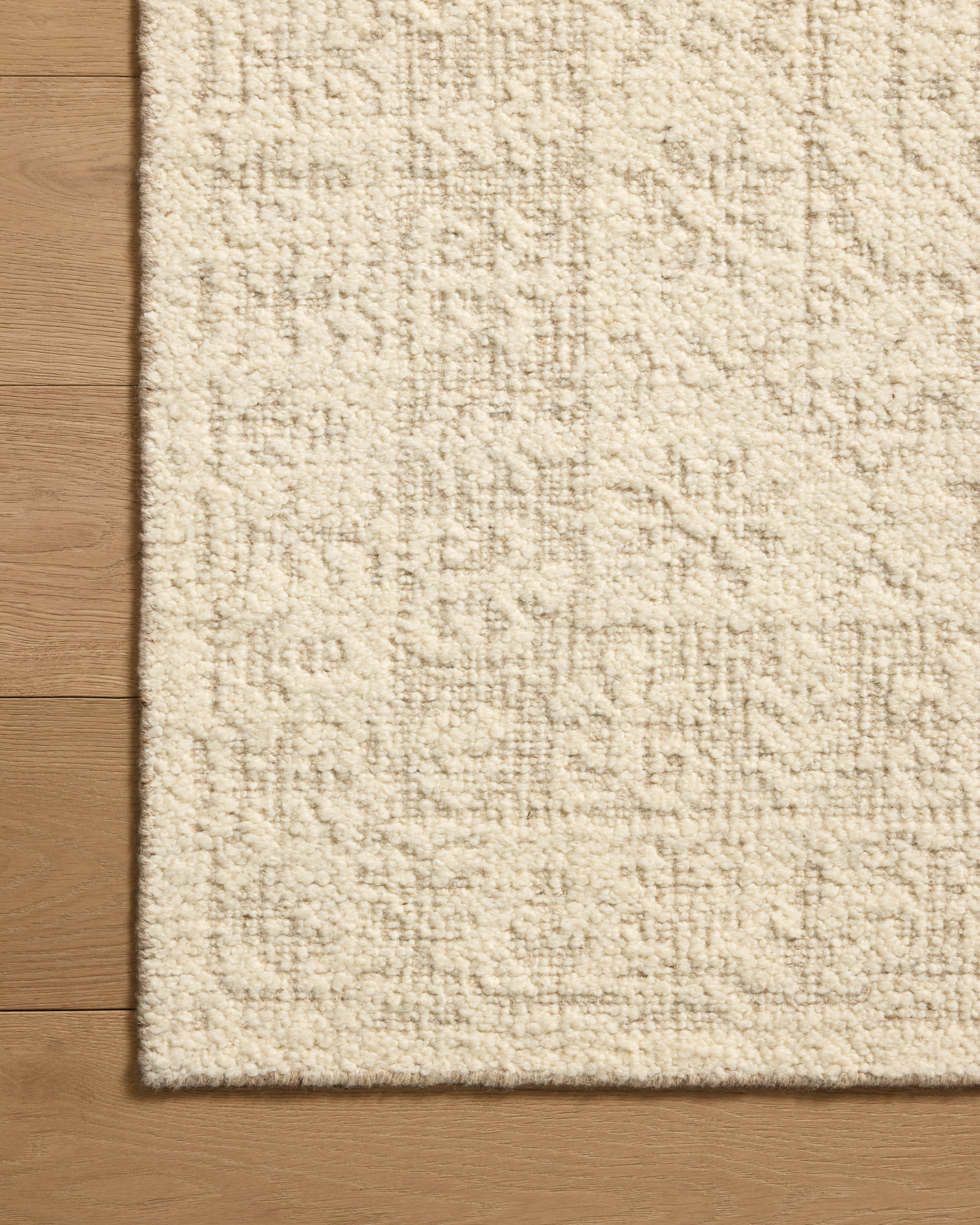Loloi Novi Sample Rug