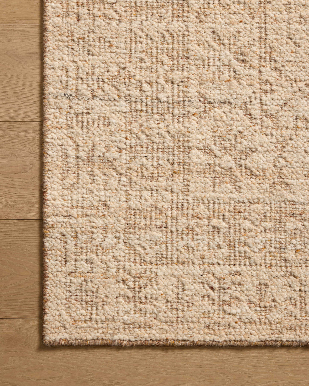 Loloi Novi Sample Rug