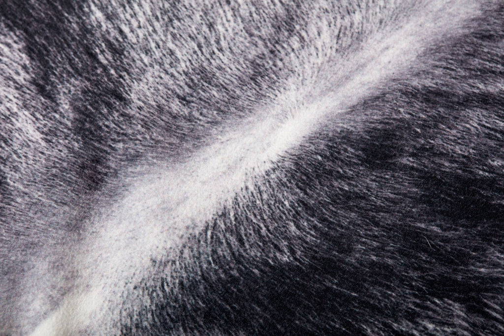 Loloi P0979 Charcoal 22" x 22" Pillow