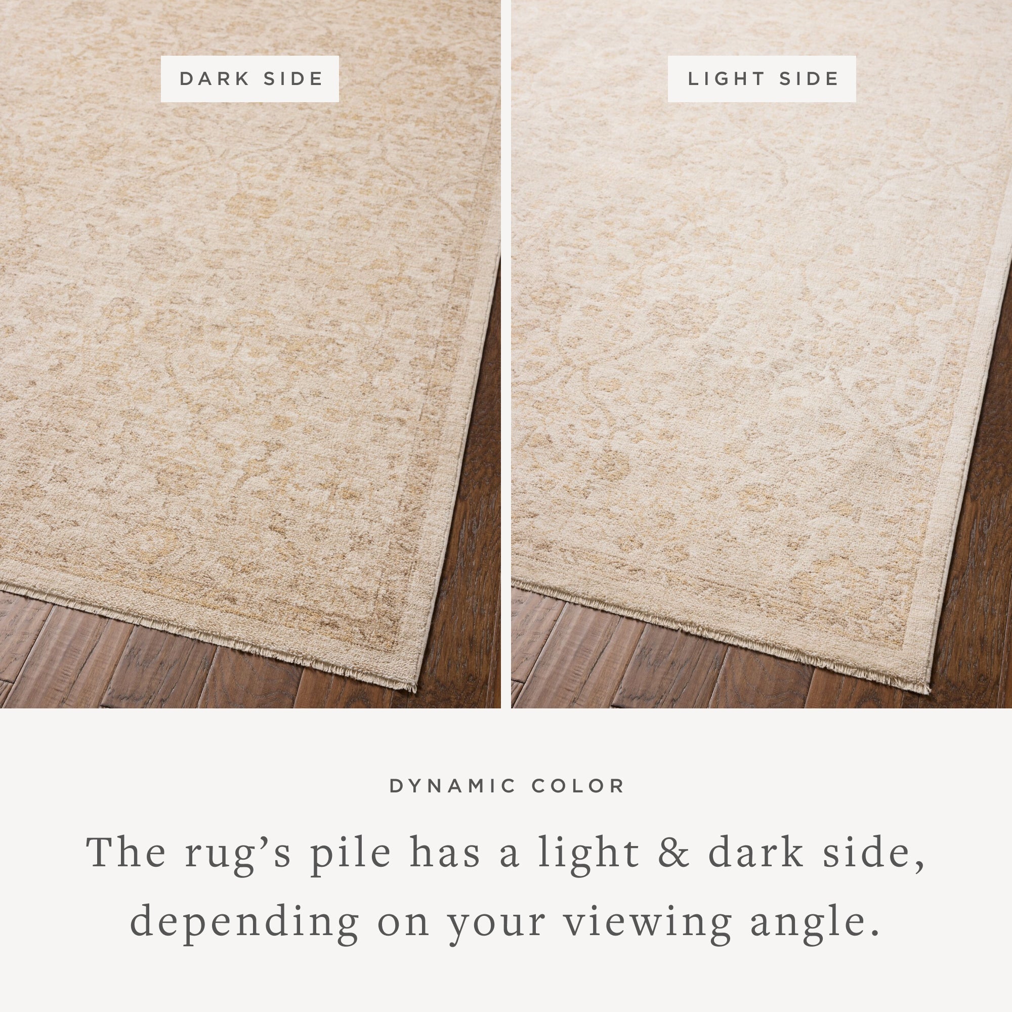 Chris Loves Julia x Loloi Palma Area Rug