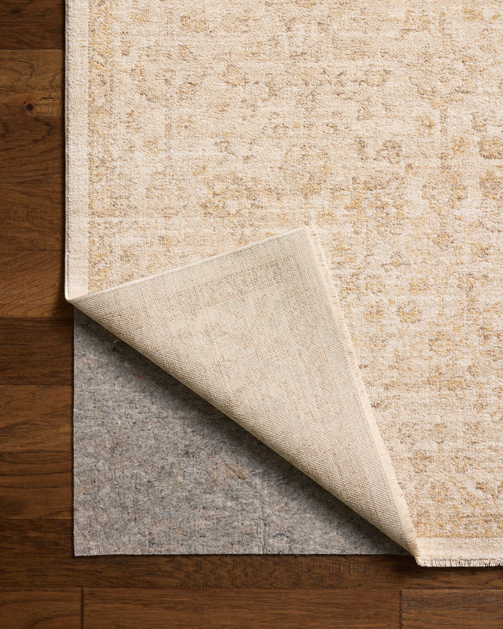 Chris Loves Julia x Loloi Palma Area Rug