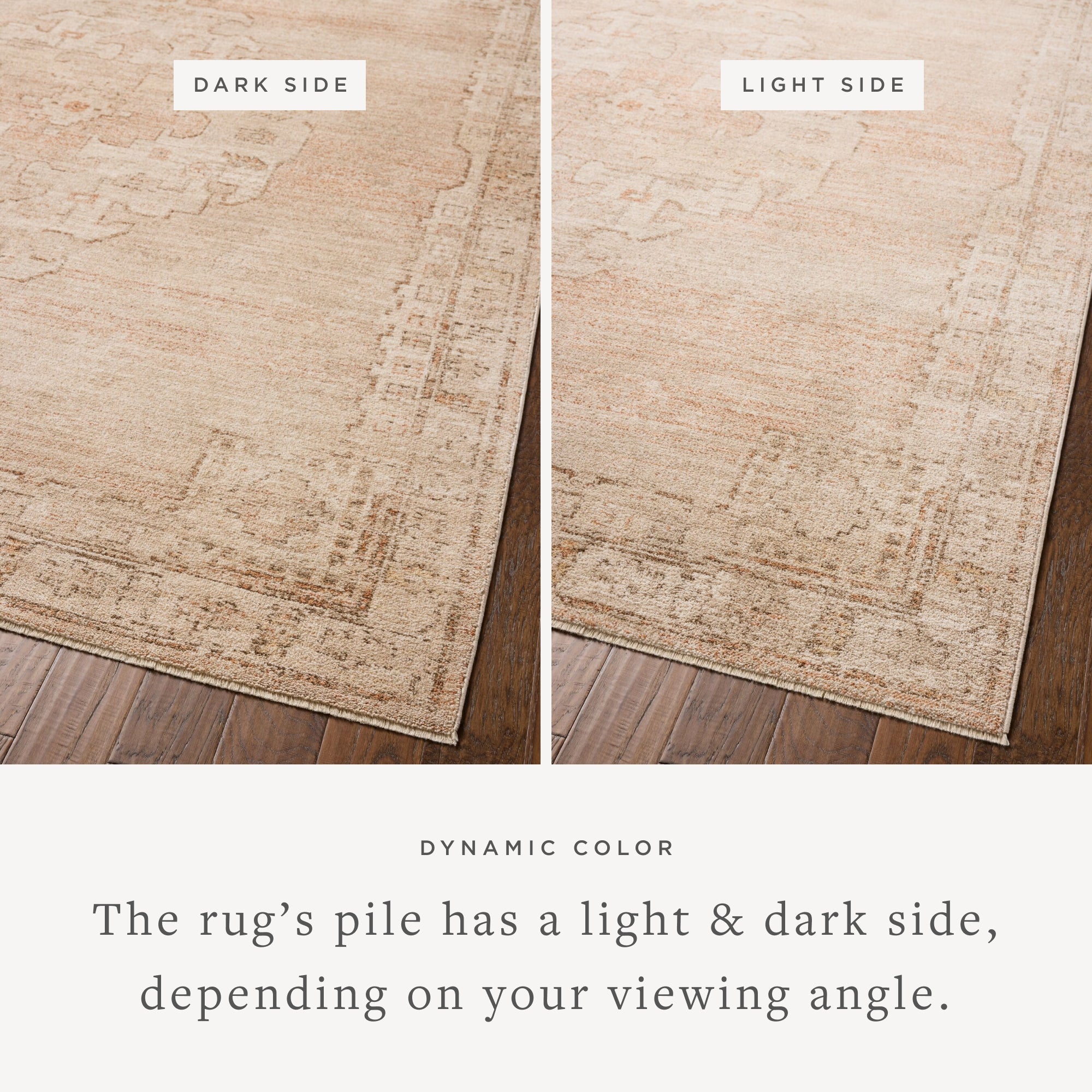 Chris Loves Julia x Loloi Palma Accent Rug