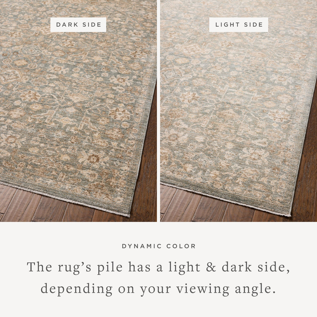 Chris Loves Julia x Loloi Palma Area Rug