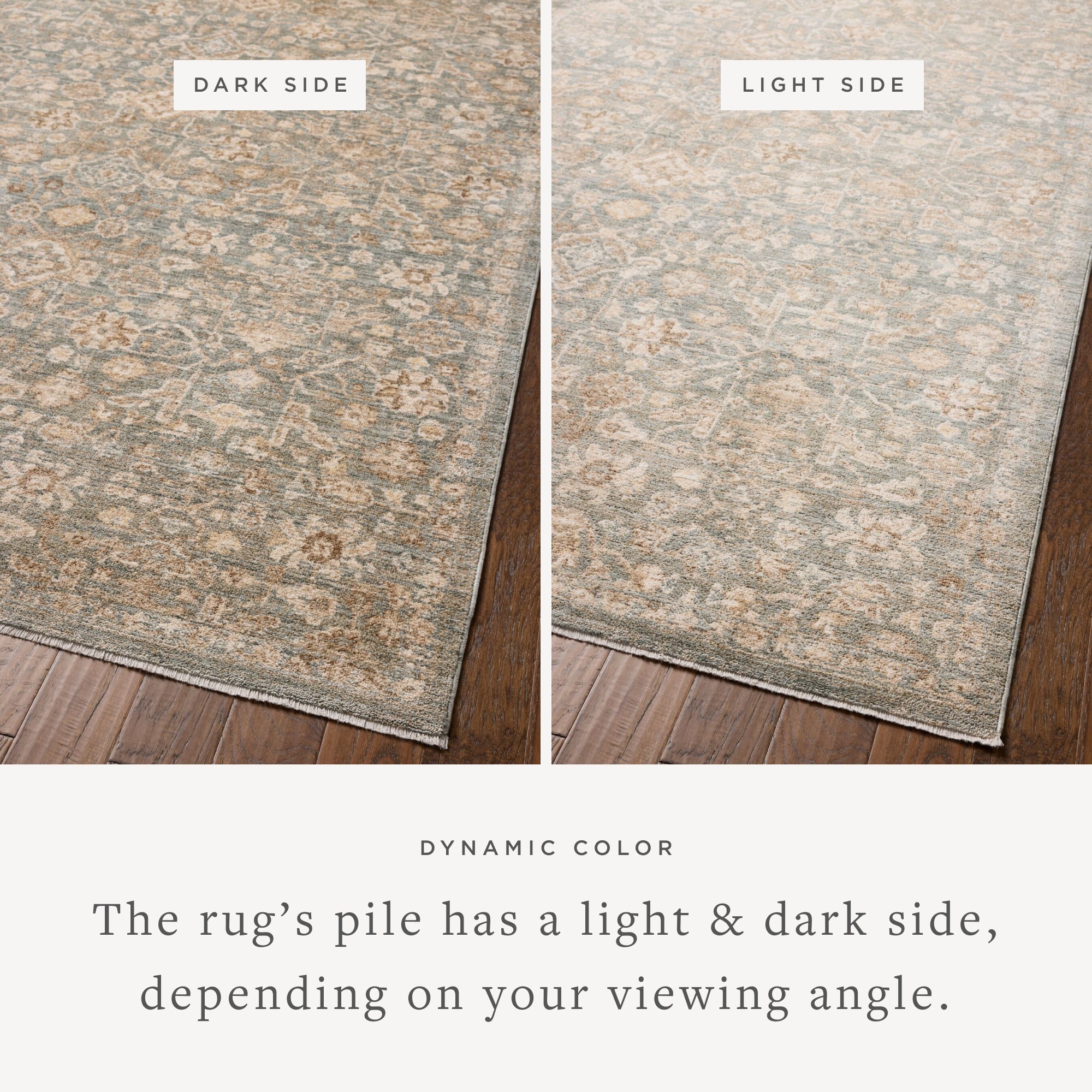Chris Loves Julia x Loloi Palma Area Rug