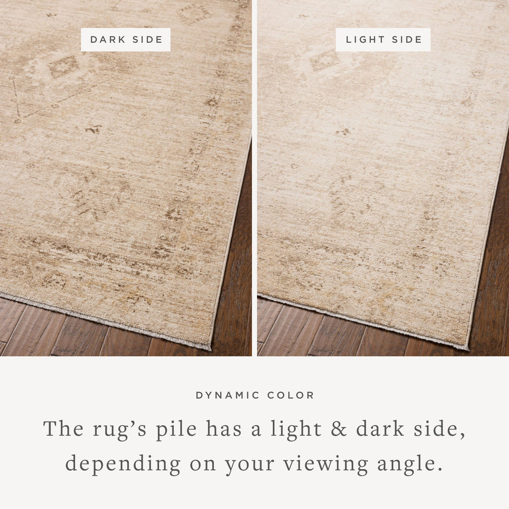 Chris Loves Julia x Loloi Palma Sample Rug