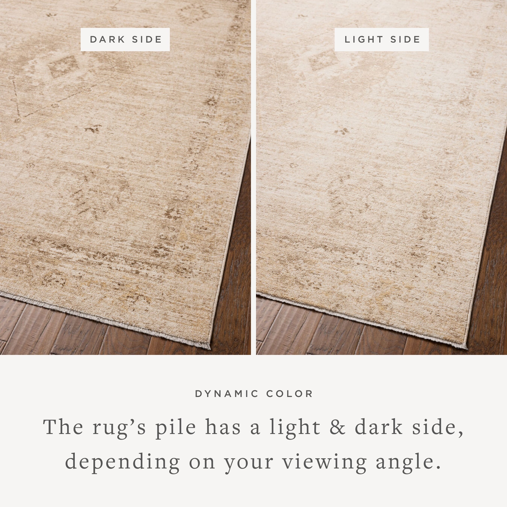 Chris Loves Julia x Loloi Palma Sample Rug