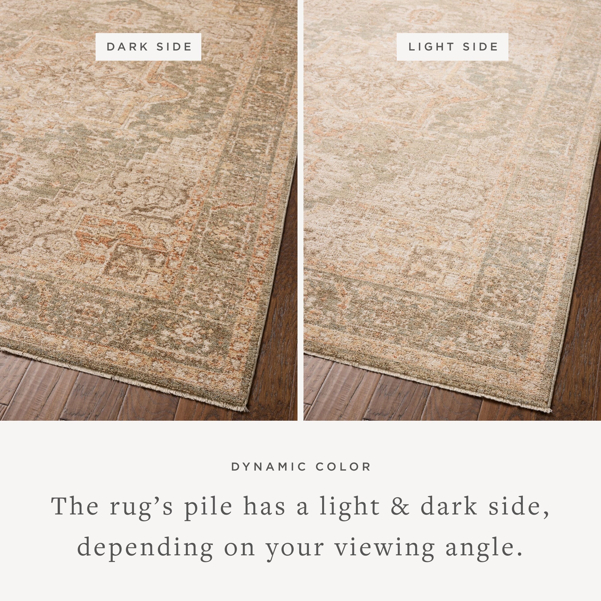 Chris Loves Julia x Loloi Palma Area Rug