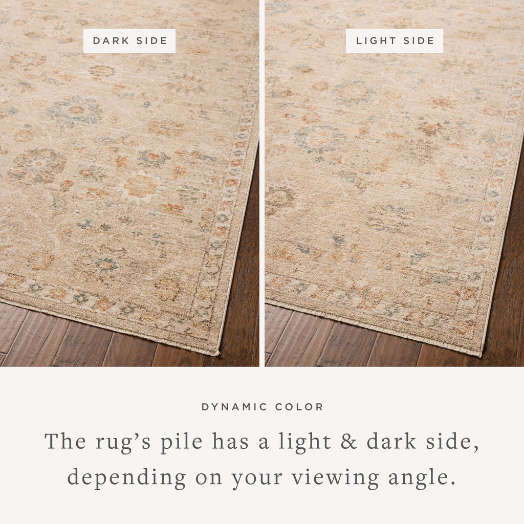 Chris Loves Julia x Loloi Palma Area Rug