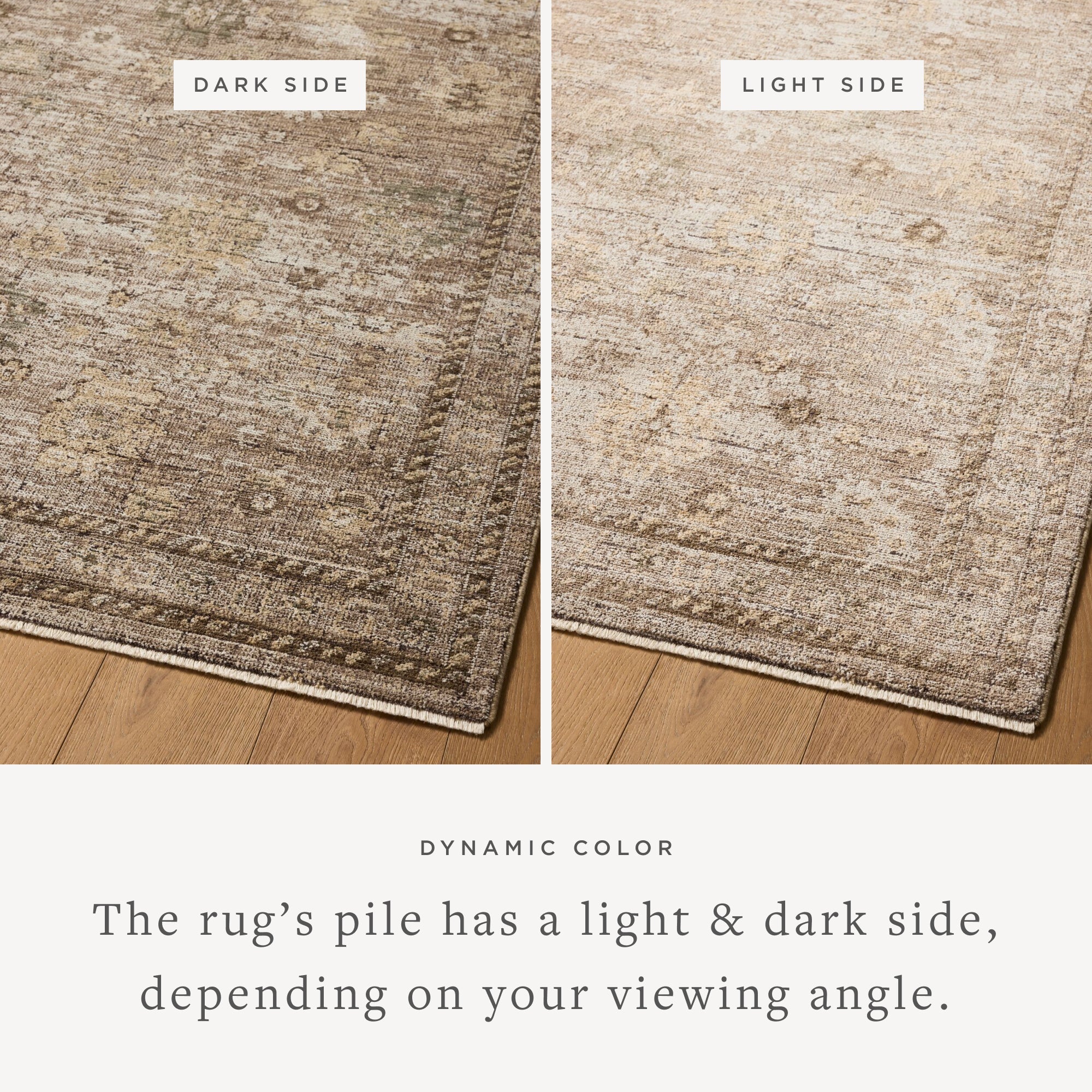Loloi Priscilla Sample Rug