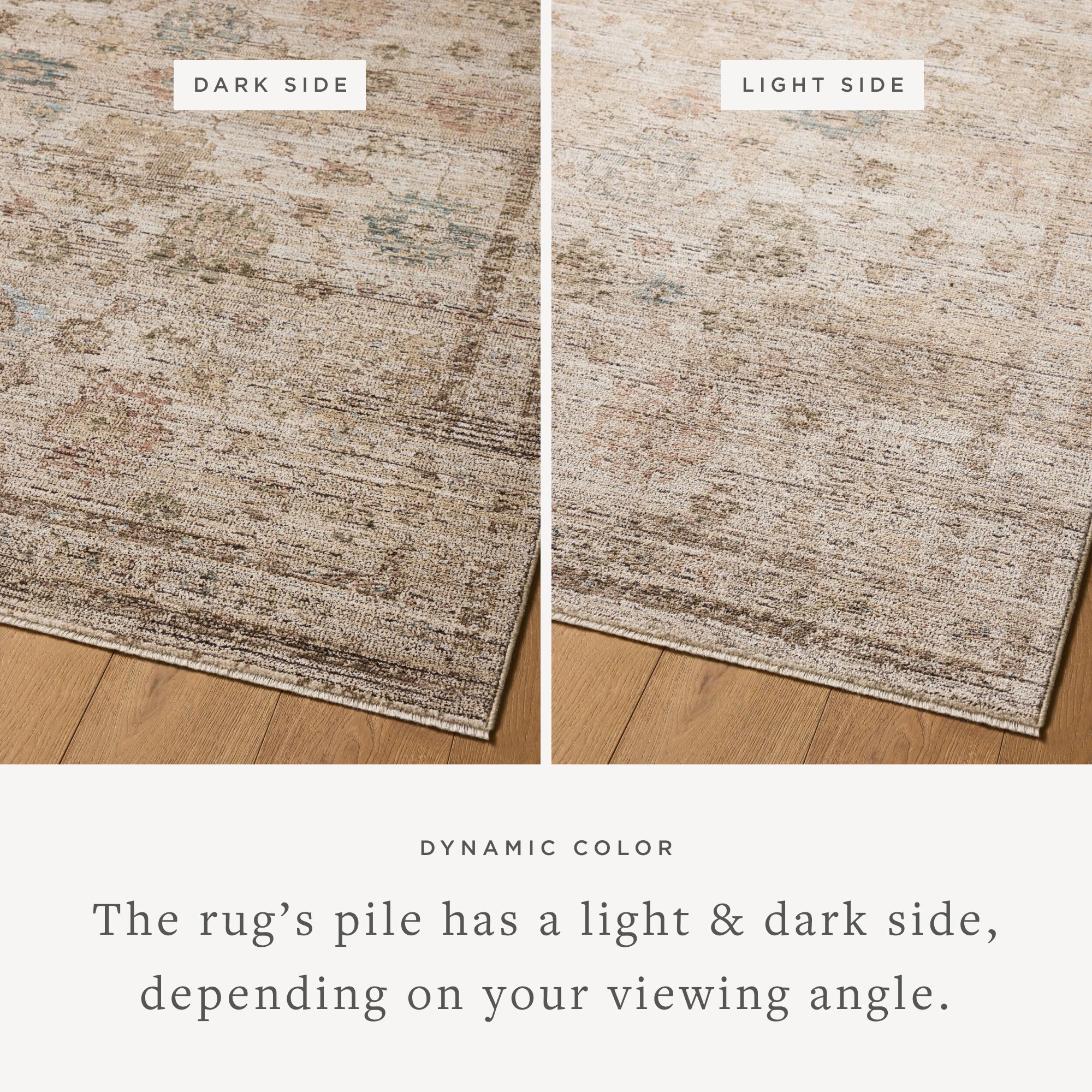 Loloi Priscilla Area Rug